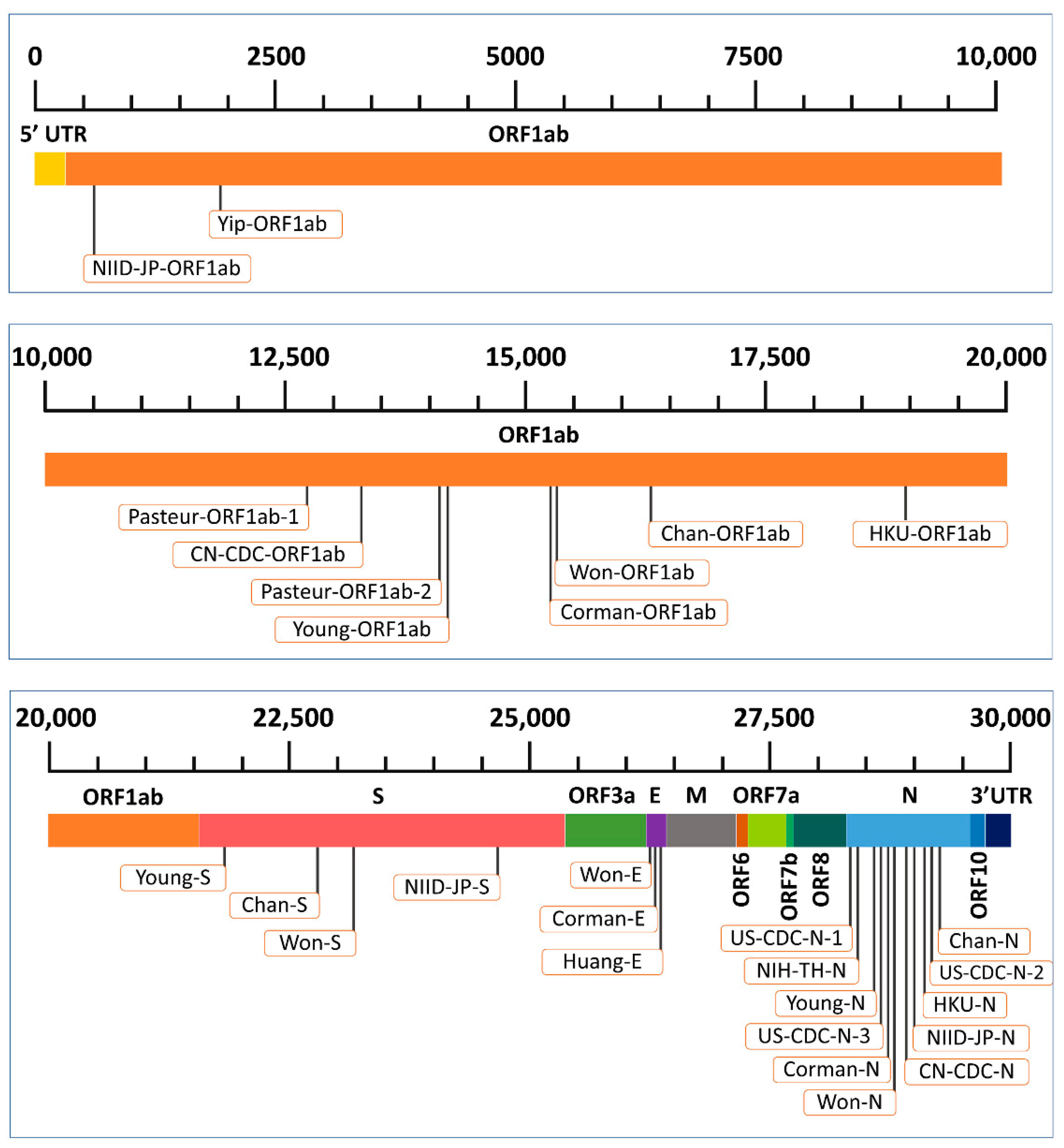 Pathogens 10 00371 g001 Pathogens 10 00371 g001