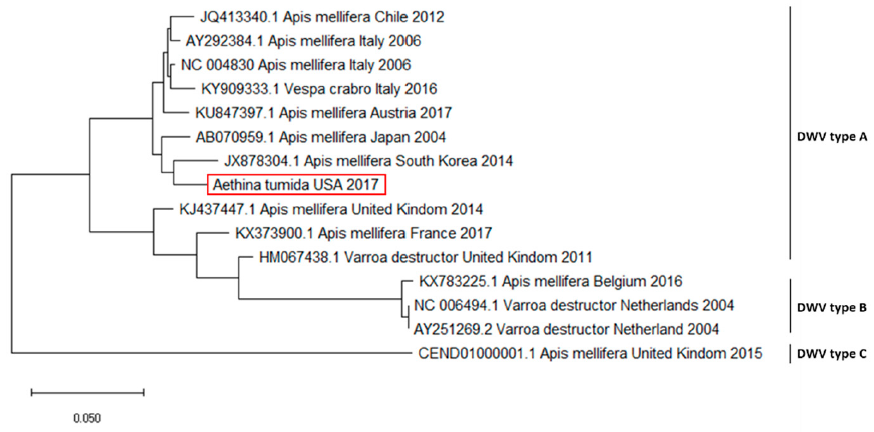 Pathogens 10 00372 g001 Pathogens 10 00372 g001