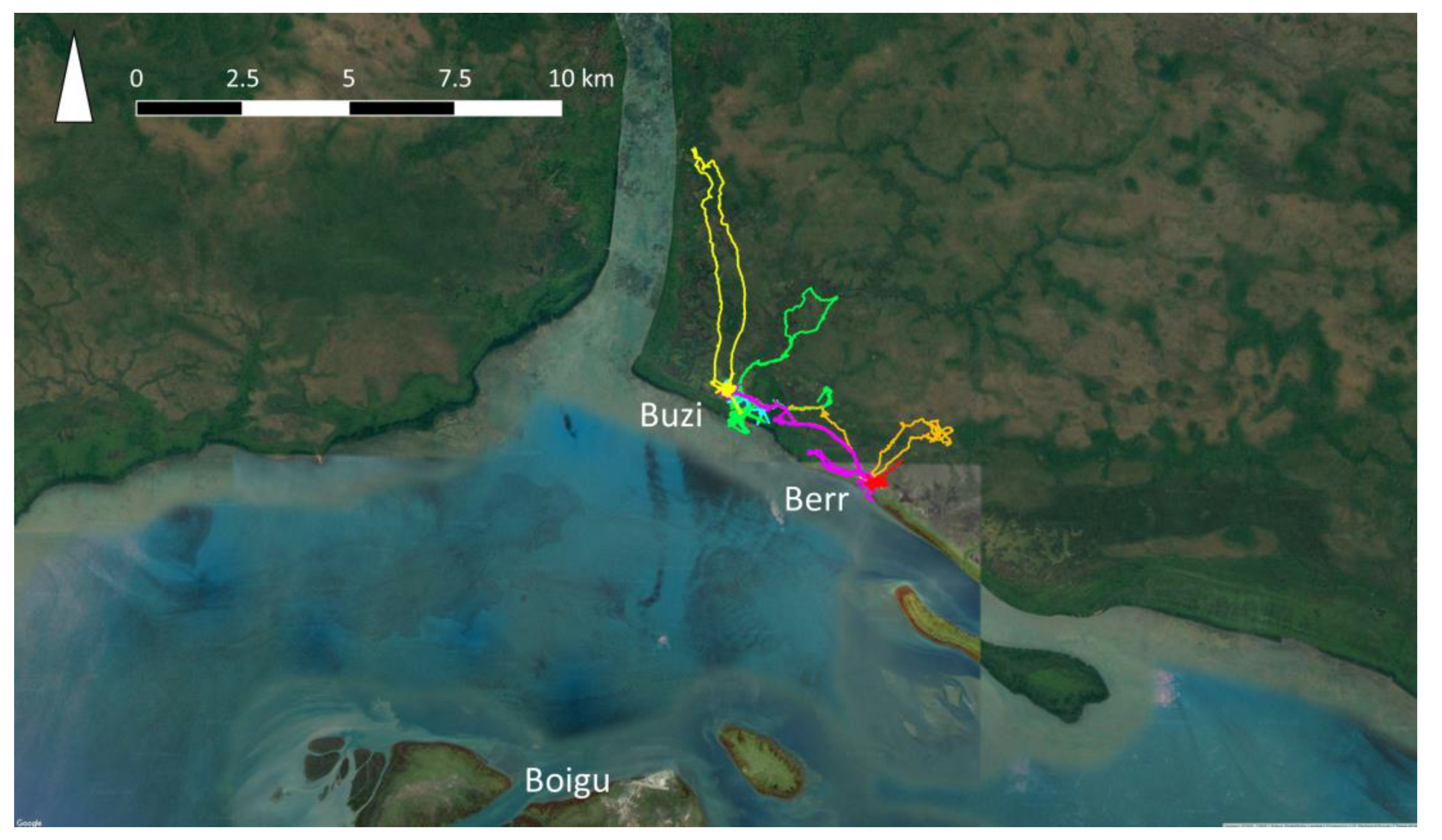 Pathogens 10 00375 g003