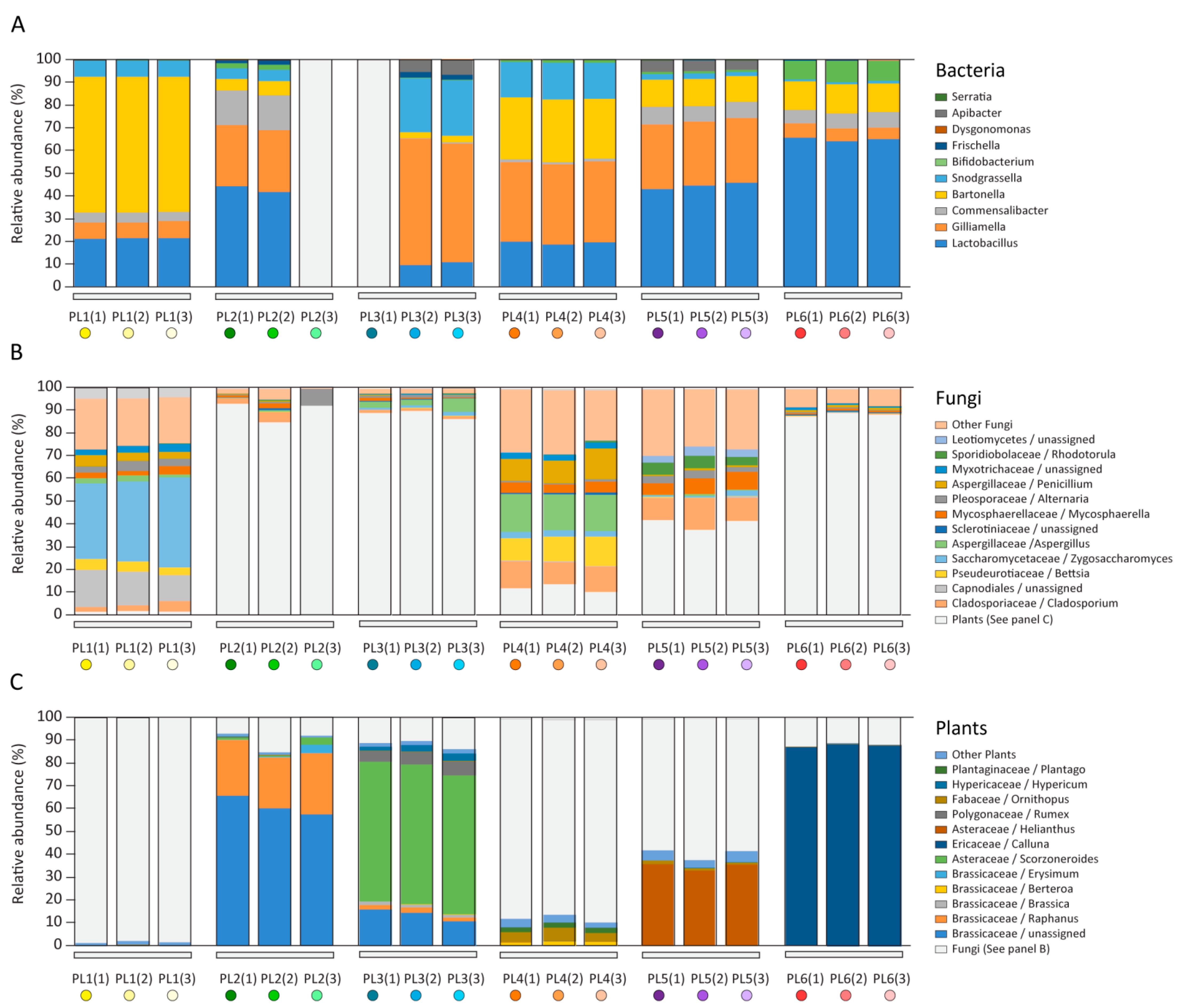 Pathogens 10 00381 g001
