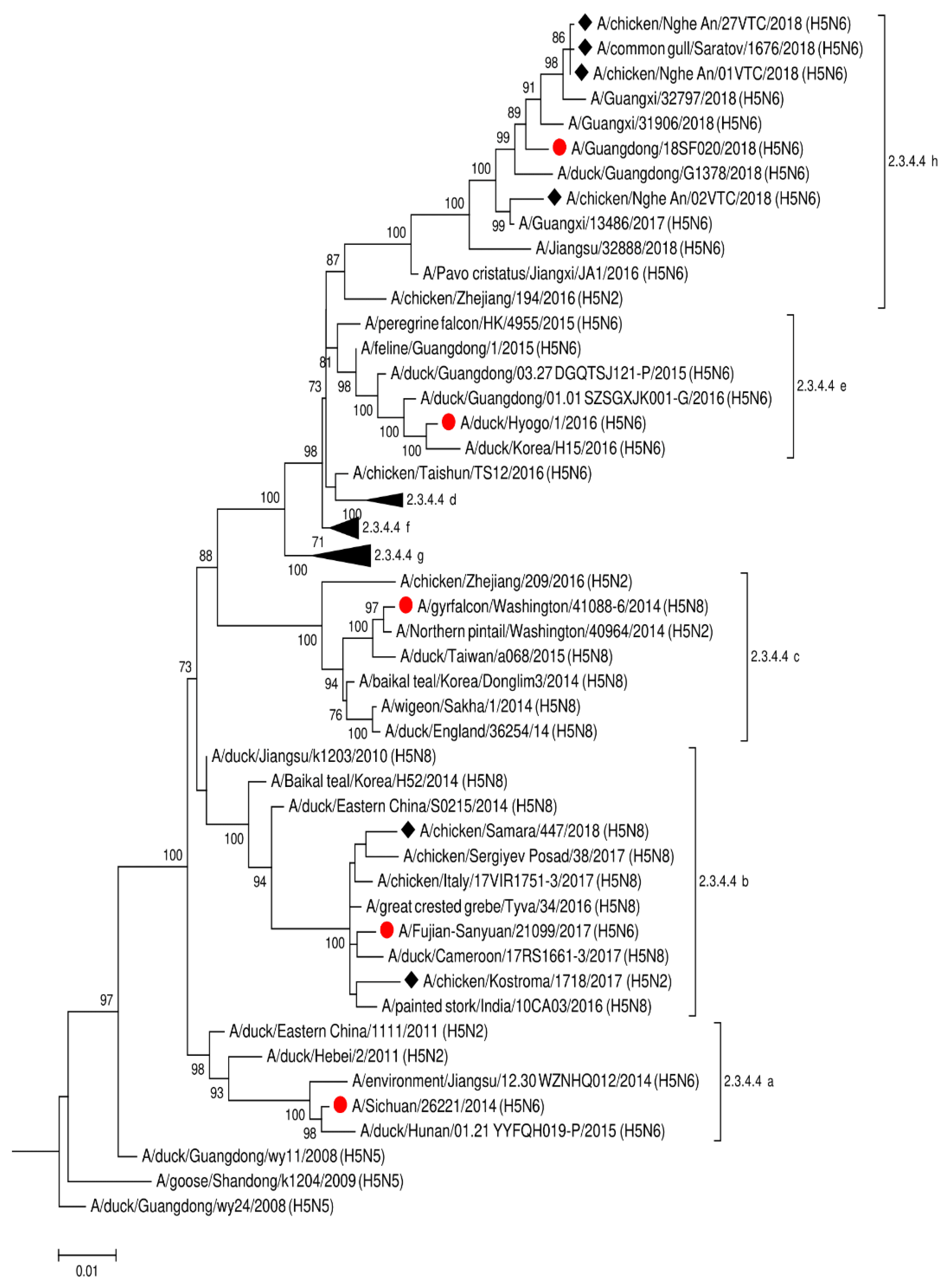 Pathogens 10 00394 g001 Pathogens 10 00394 g001