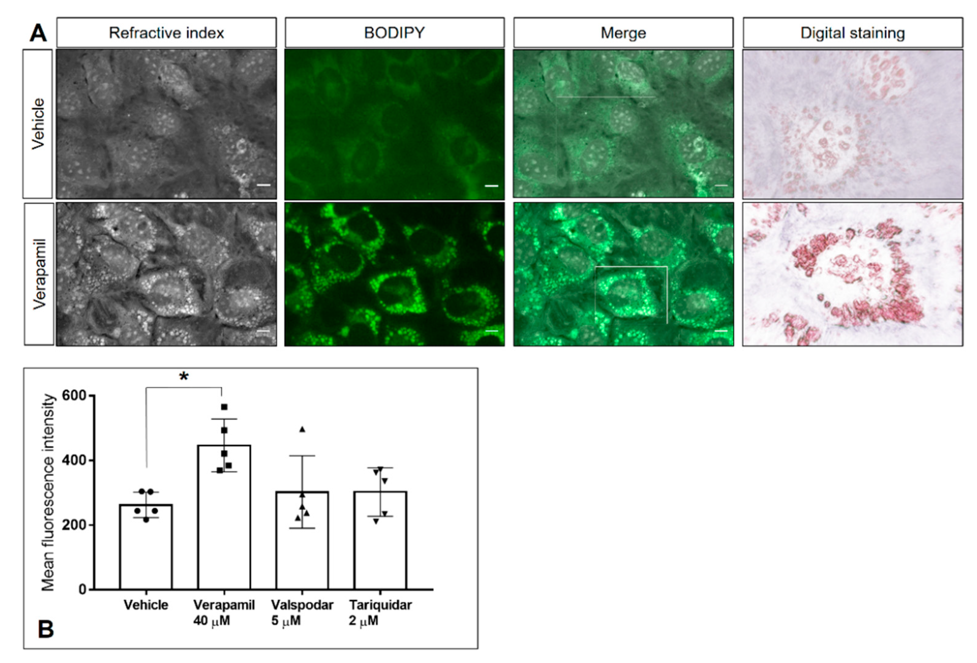 Pathogens 10 00395 g006 Pathogens 10 00395 g006