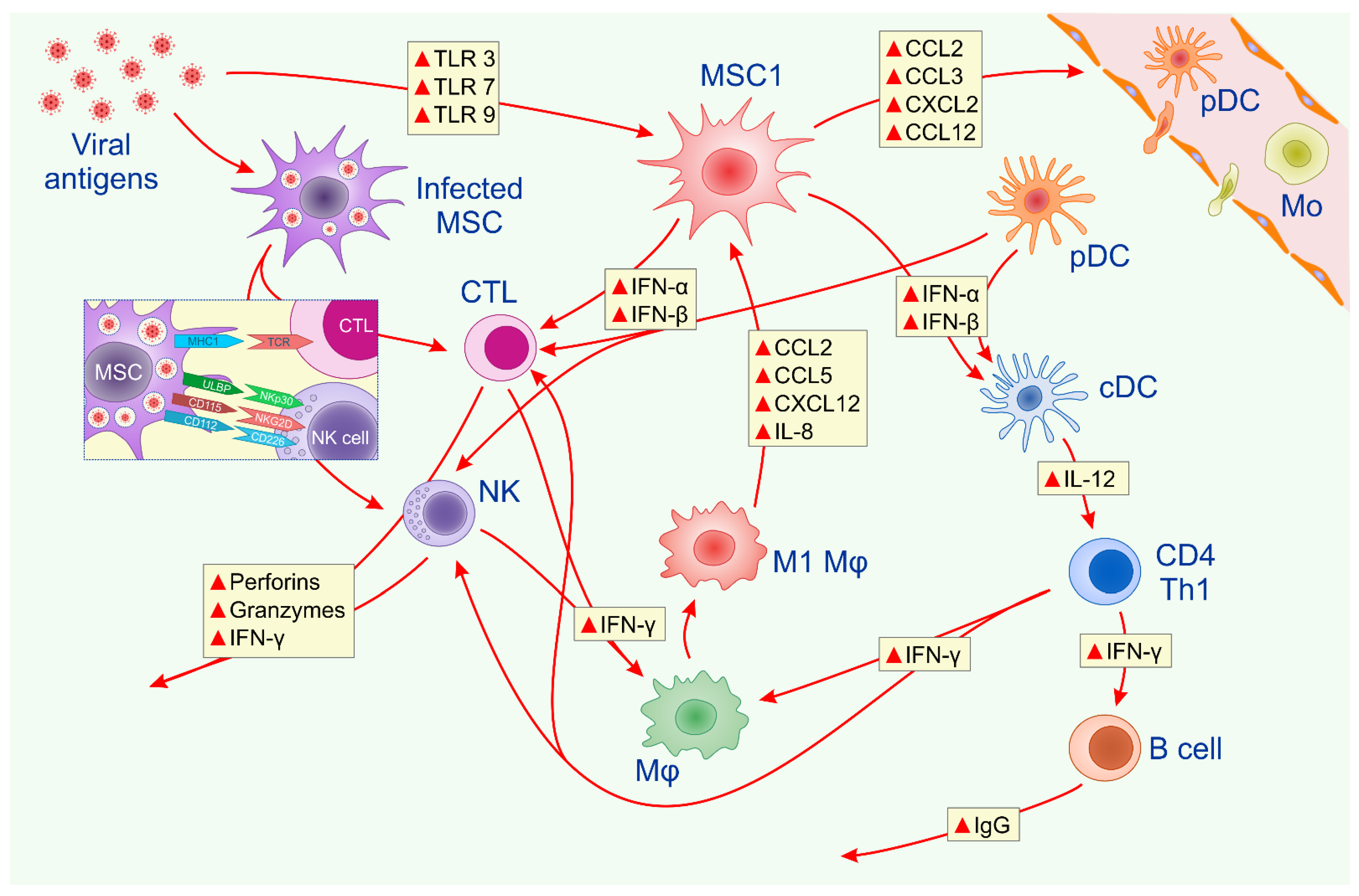 Pathogens 10 00409 g001