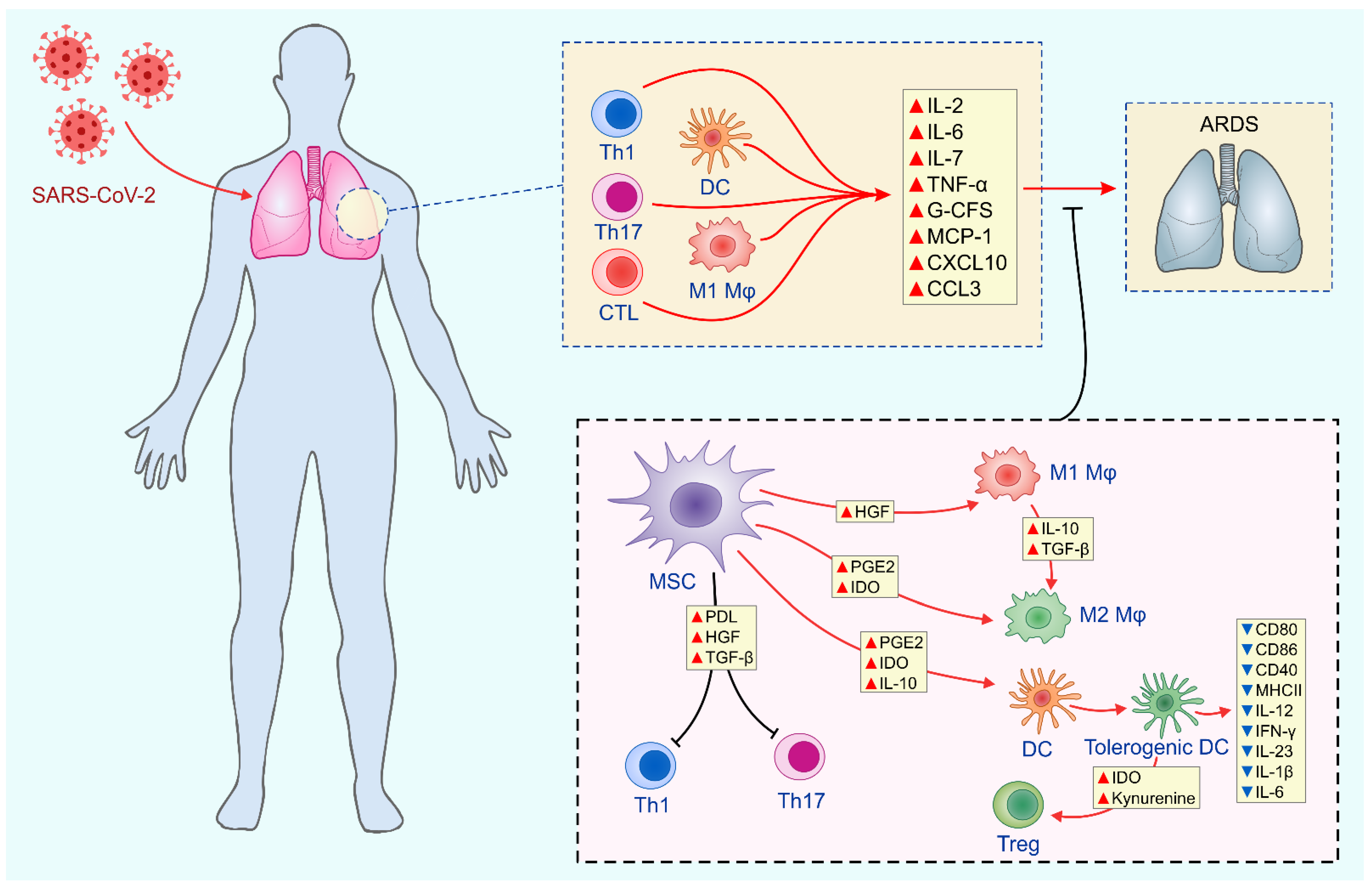 Pathogens 10 00409 g002