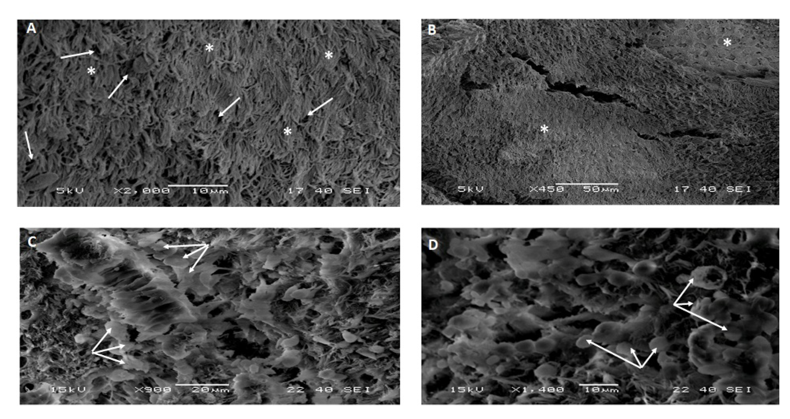 Pathogens 10 00420 g002