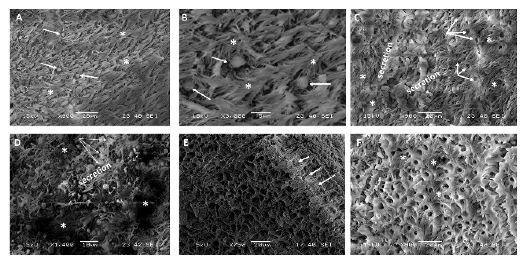 Pathogens 10 00420 g003