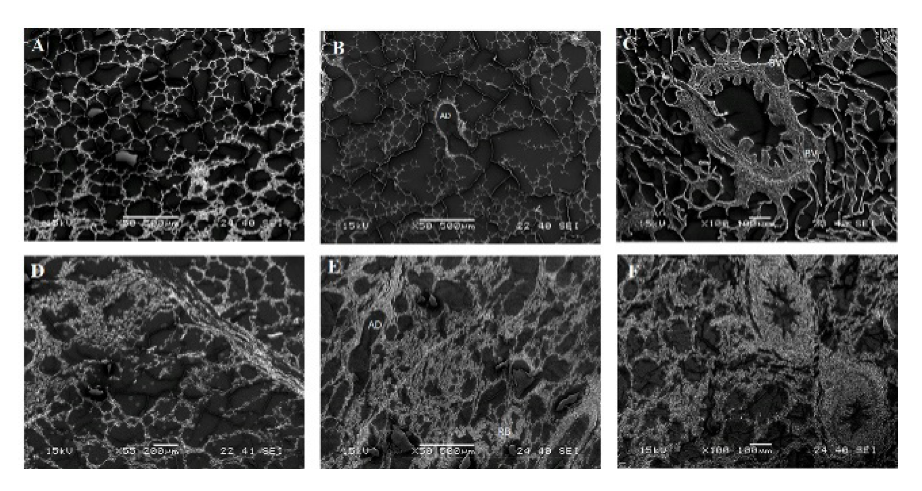 Pathogens 10 00420 g004