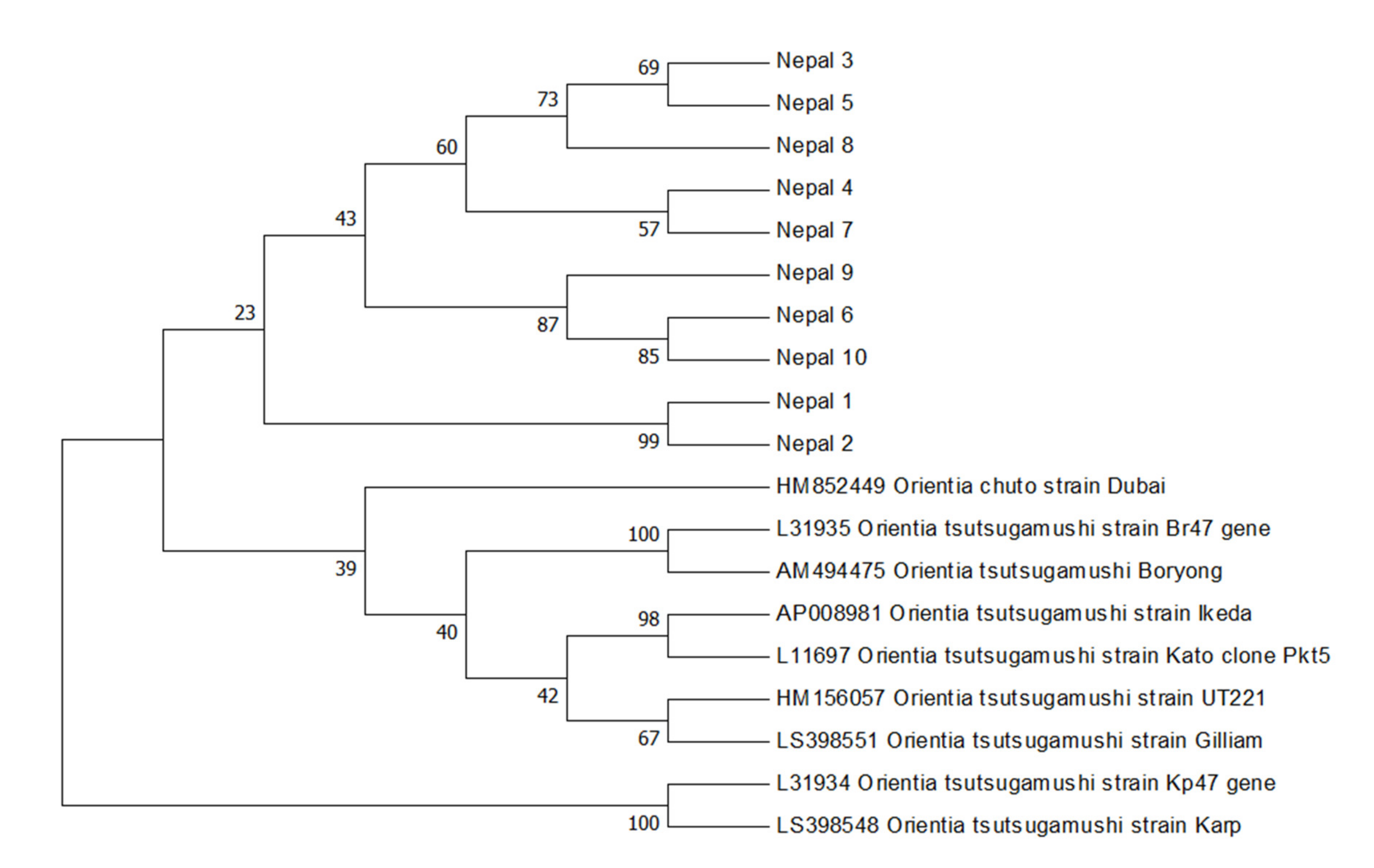 Pathogens 10 00422 g001 Pathogens 10 00422 g001