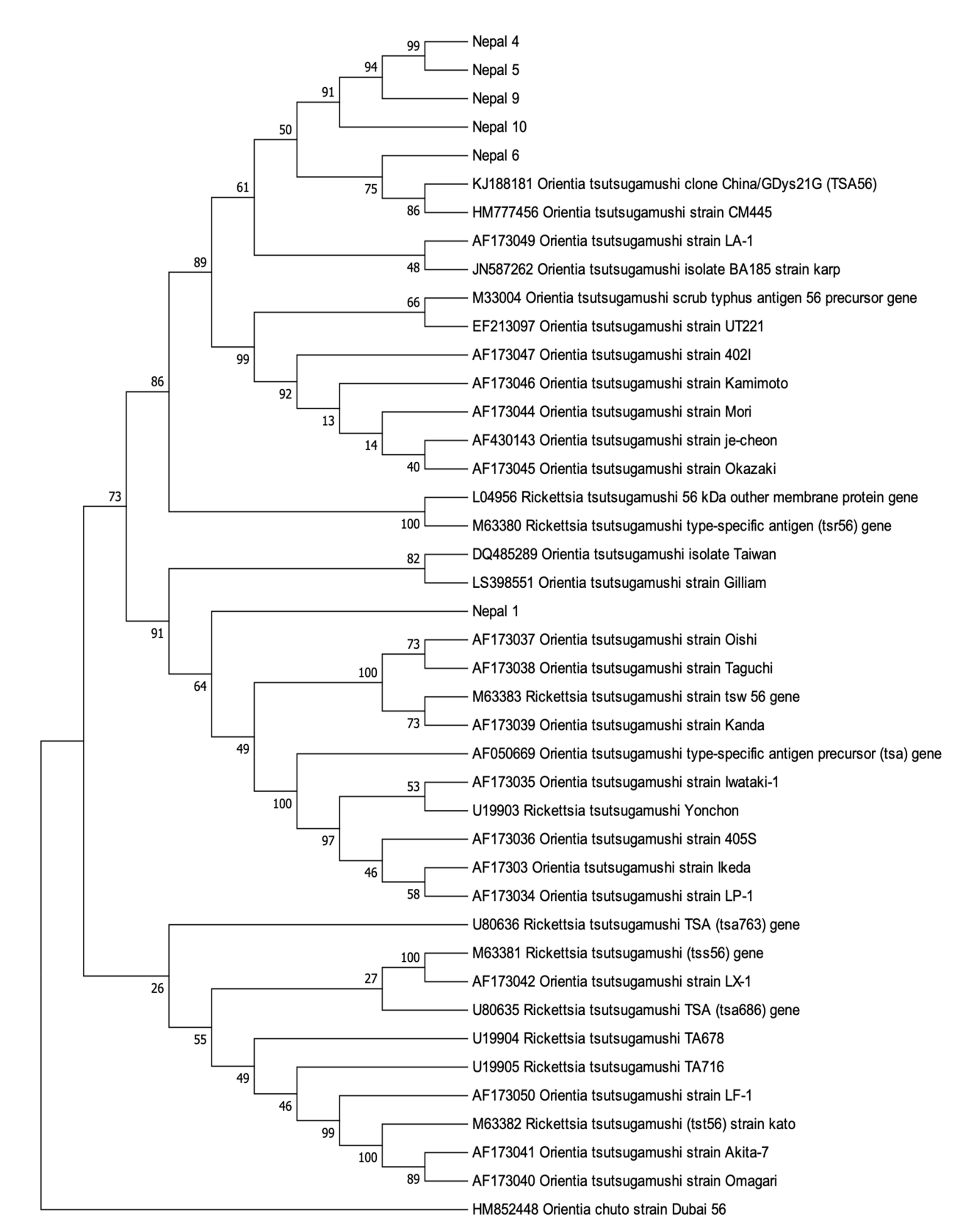 Pathogens 10 00422 g002 Pathogens 10 00422 g002