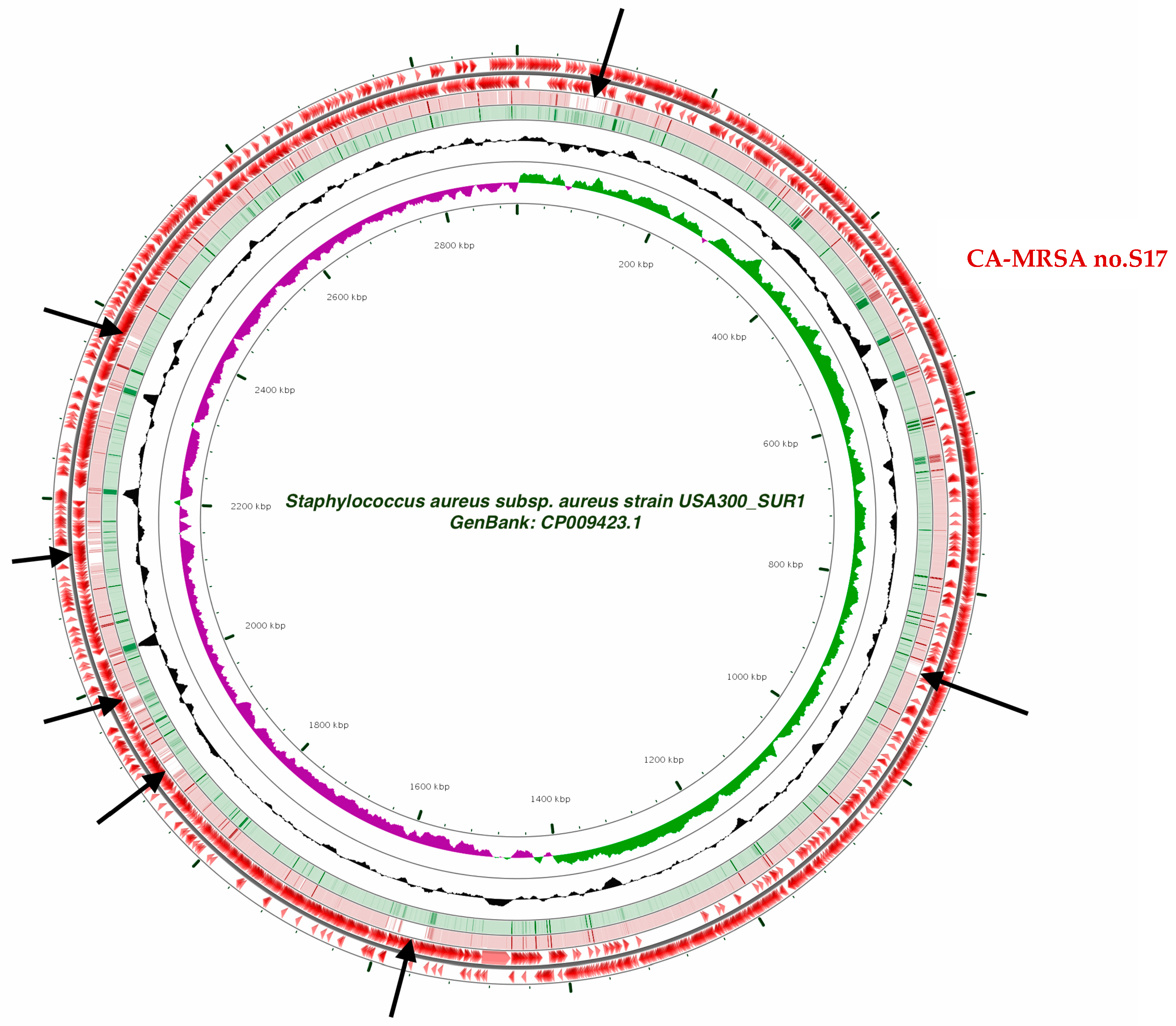 Pathogens 10 00430 g001