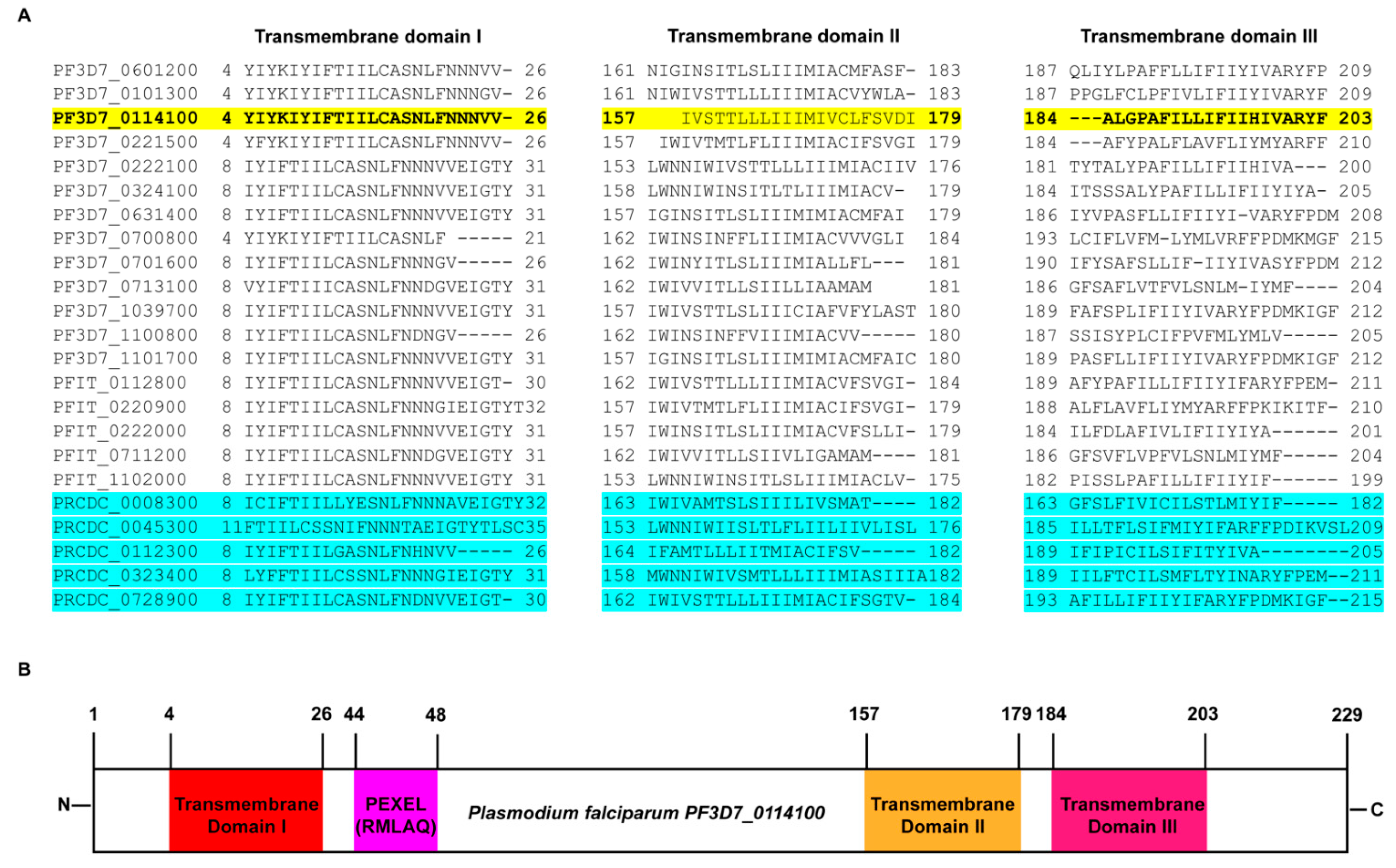 Pathogens 10 00431 g001 Pathogens 10 00431 g001