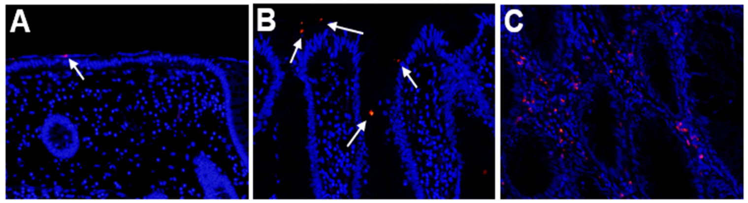 Pathogens 10 00434 g001