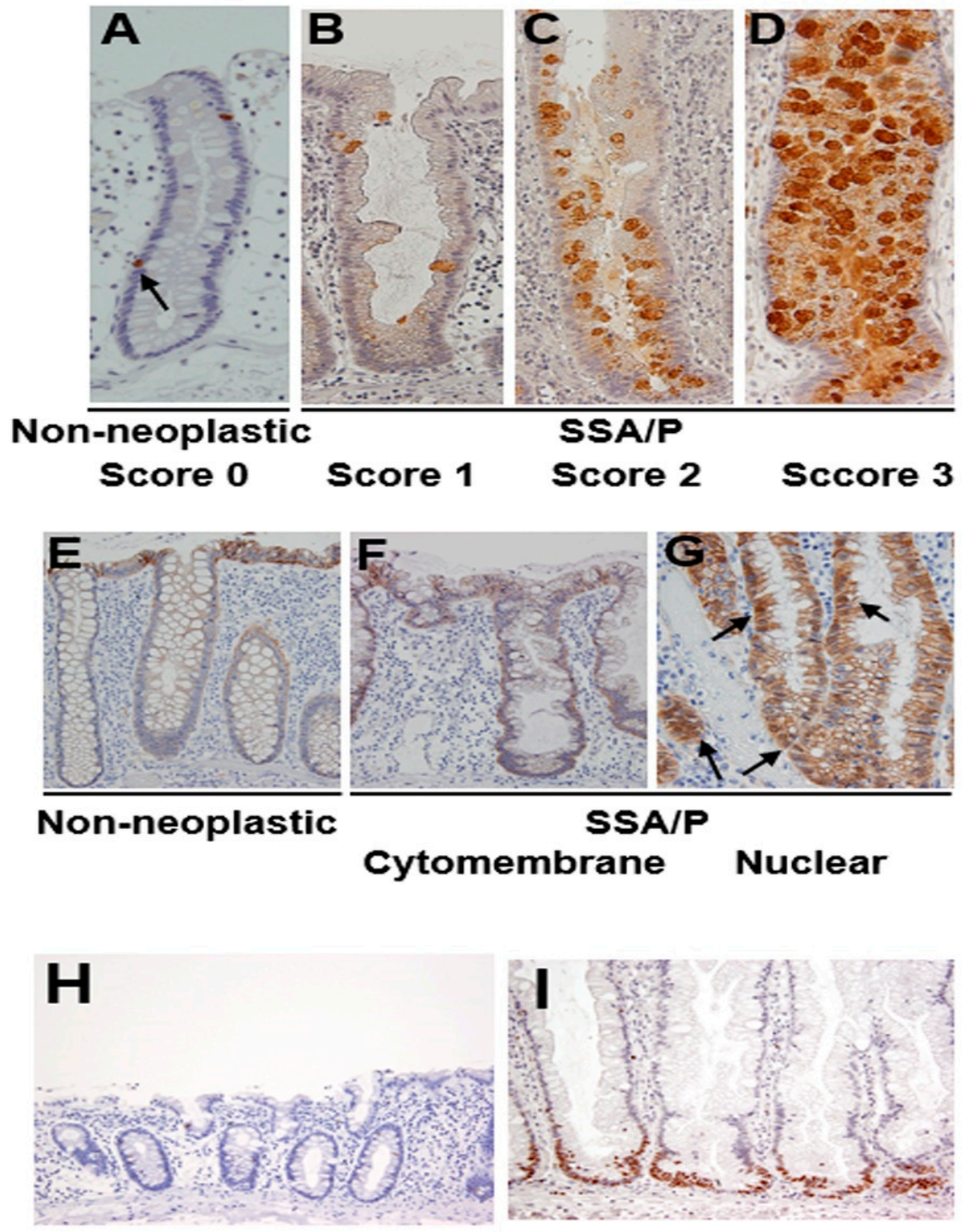 Pathogens 10 00434 g002