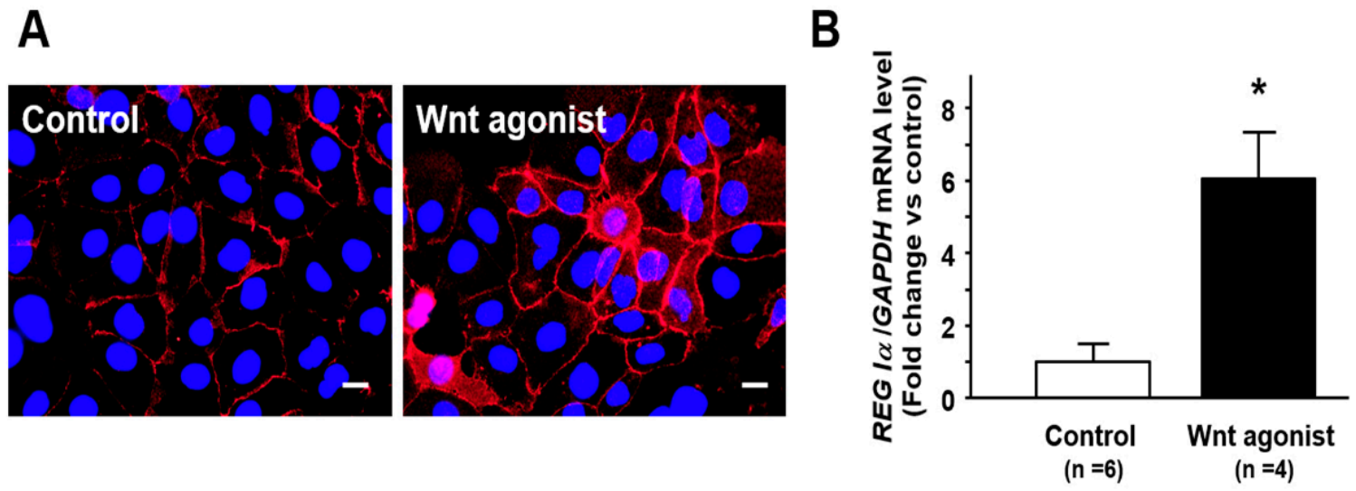Pathogens 10 00434 g004