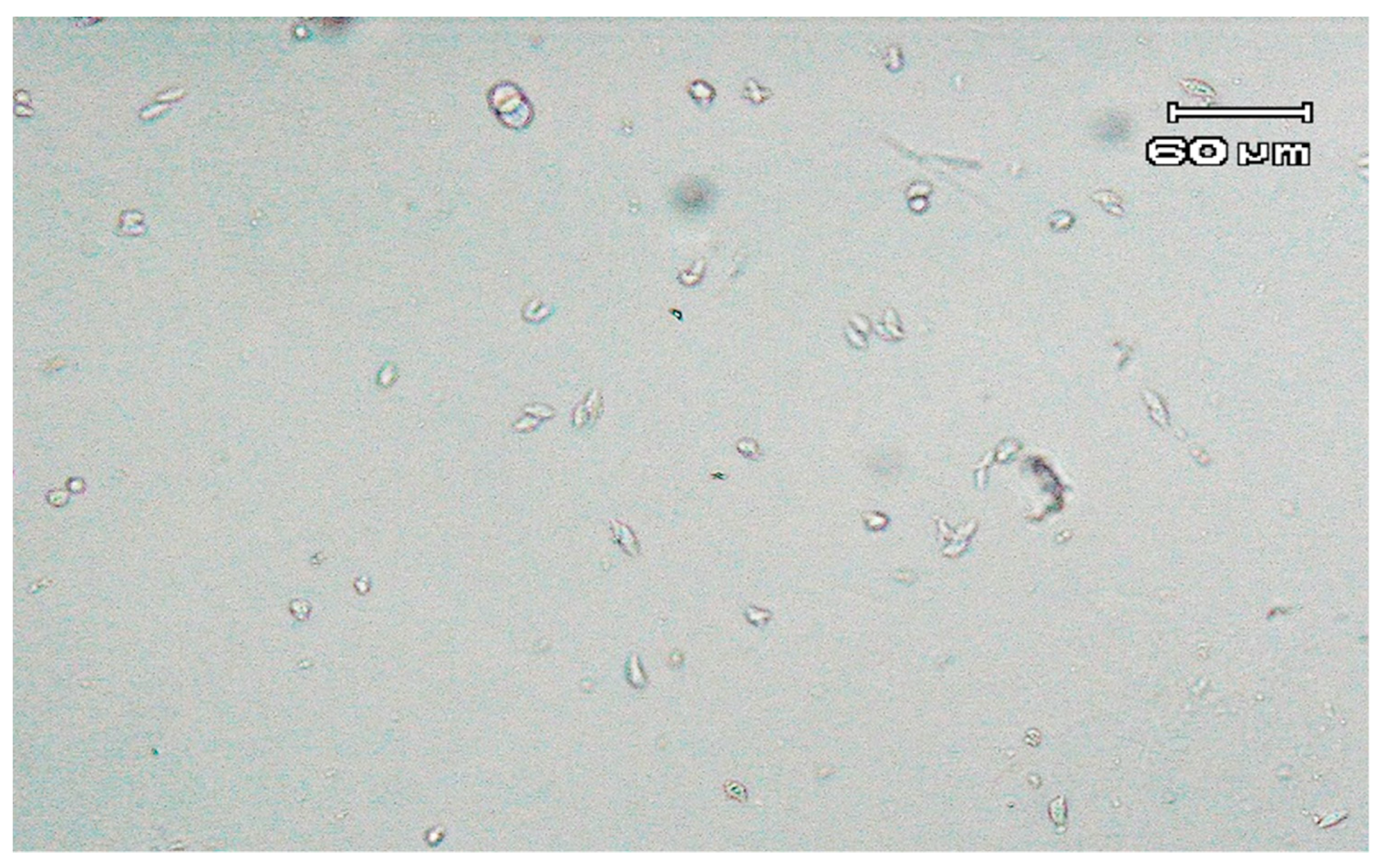 Pathogens 10 00441 g001