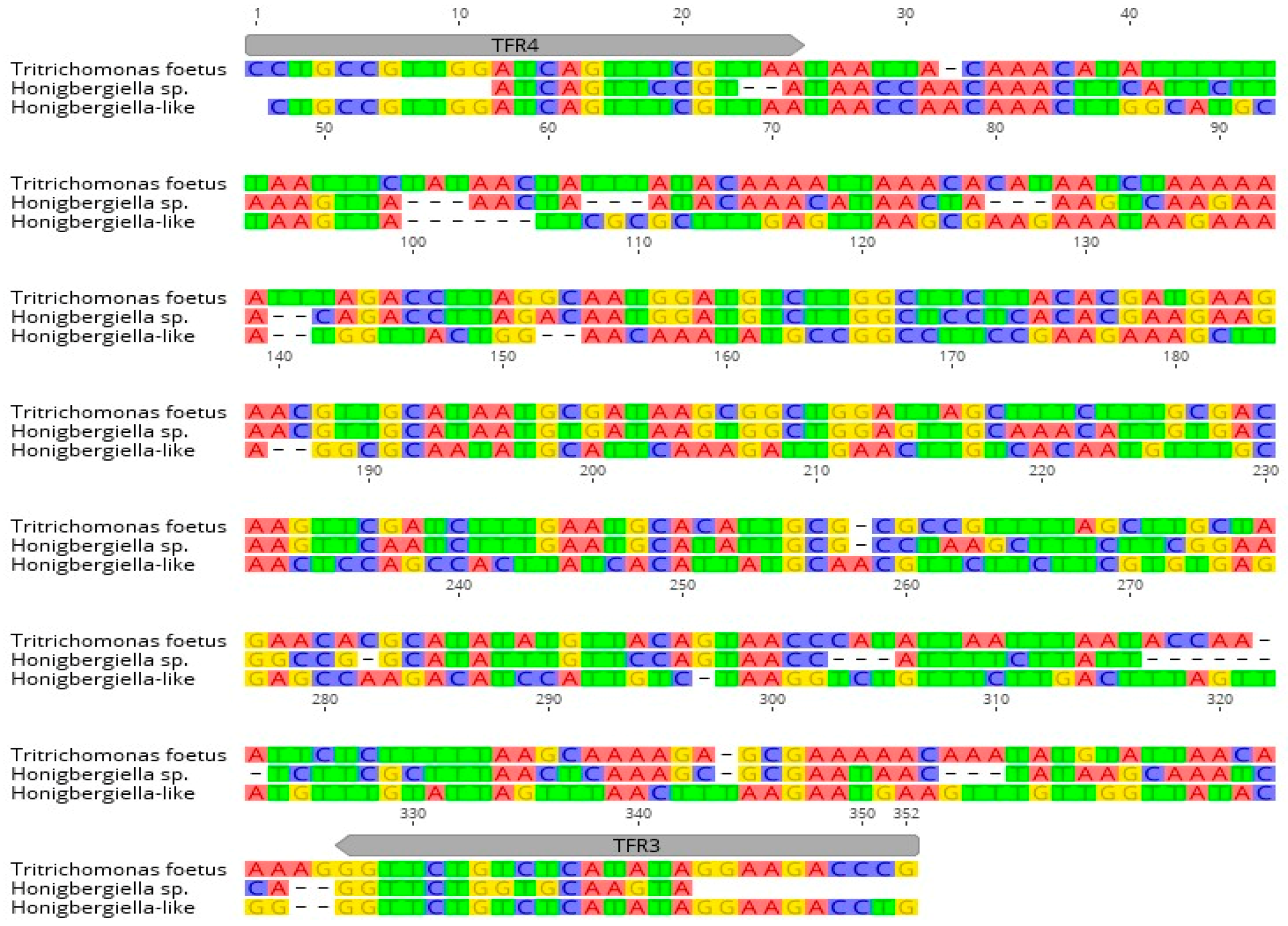 Pathogens 10 00441 g003