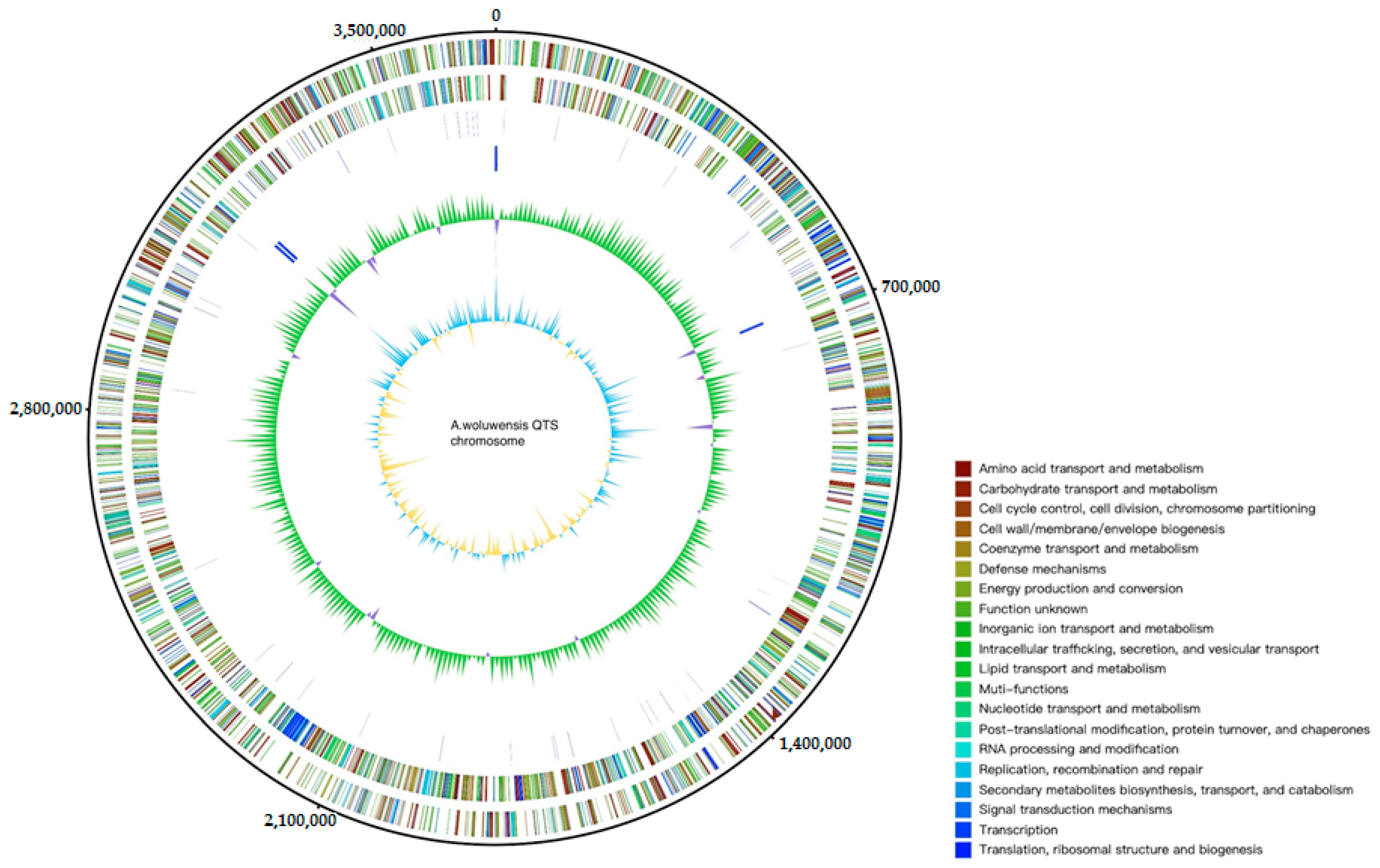 Pathogens 10 00443 g001 Pathogens 10 00443 g001
