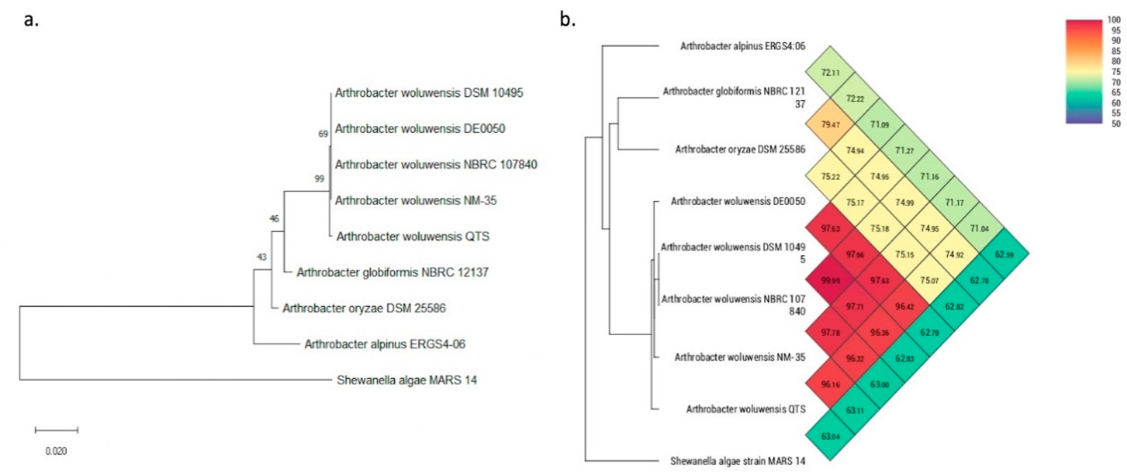 Pathogens 10 00443 g002 Pathogens 10 00443 g002