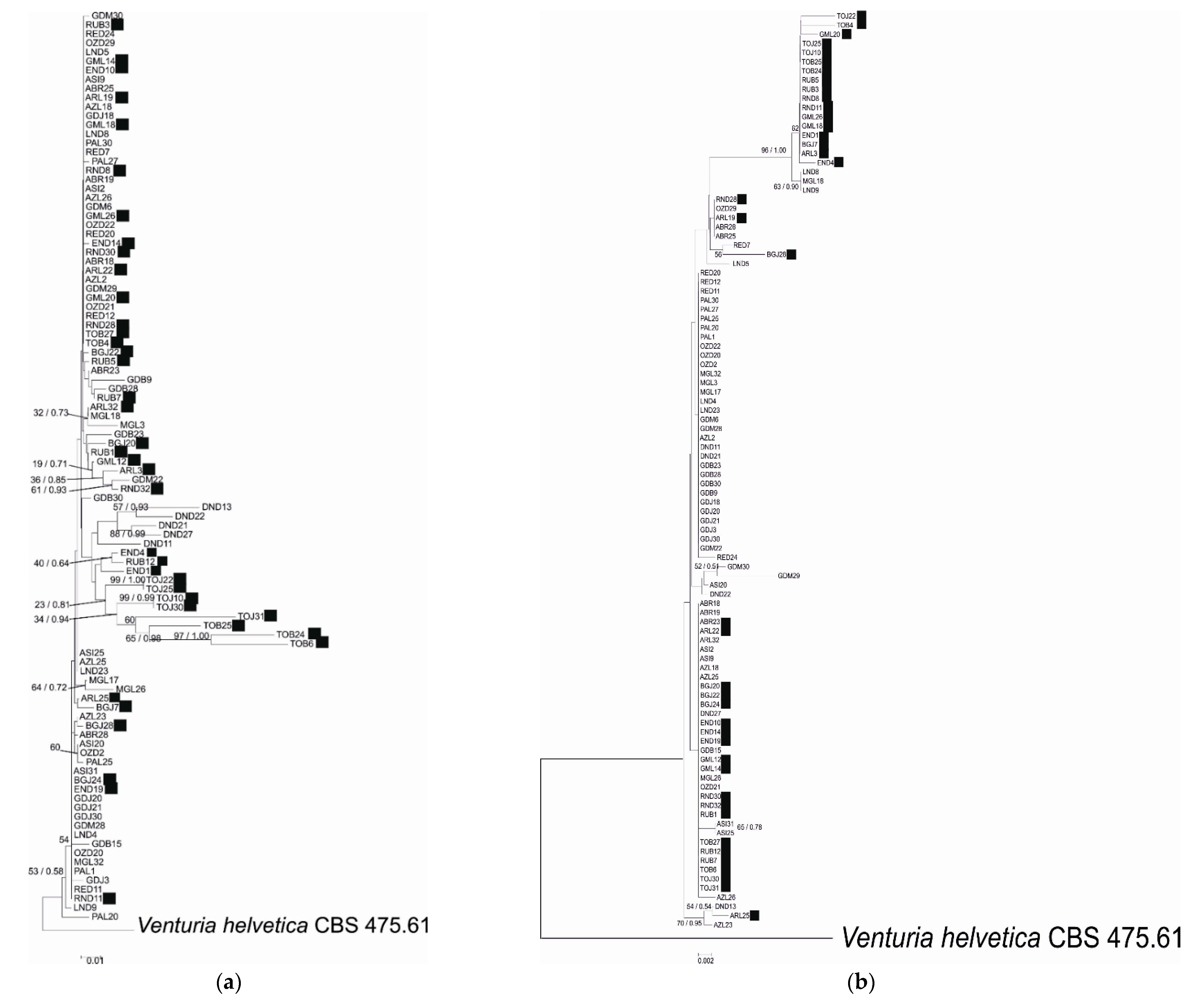 Pathogens 10 00447 g001a