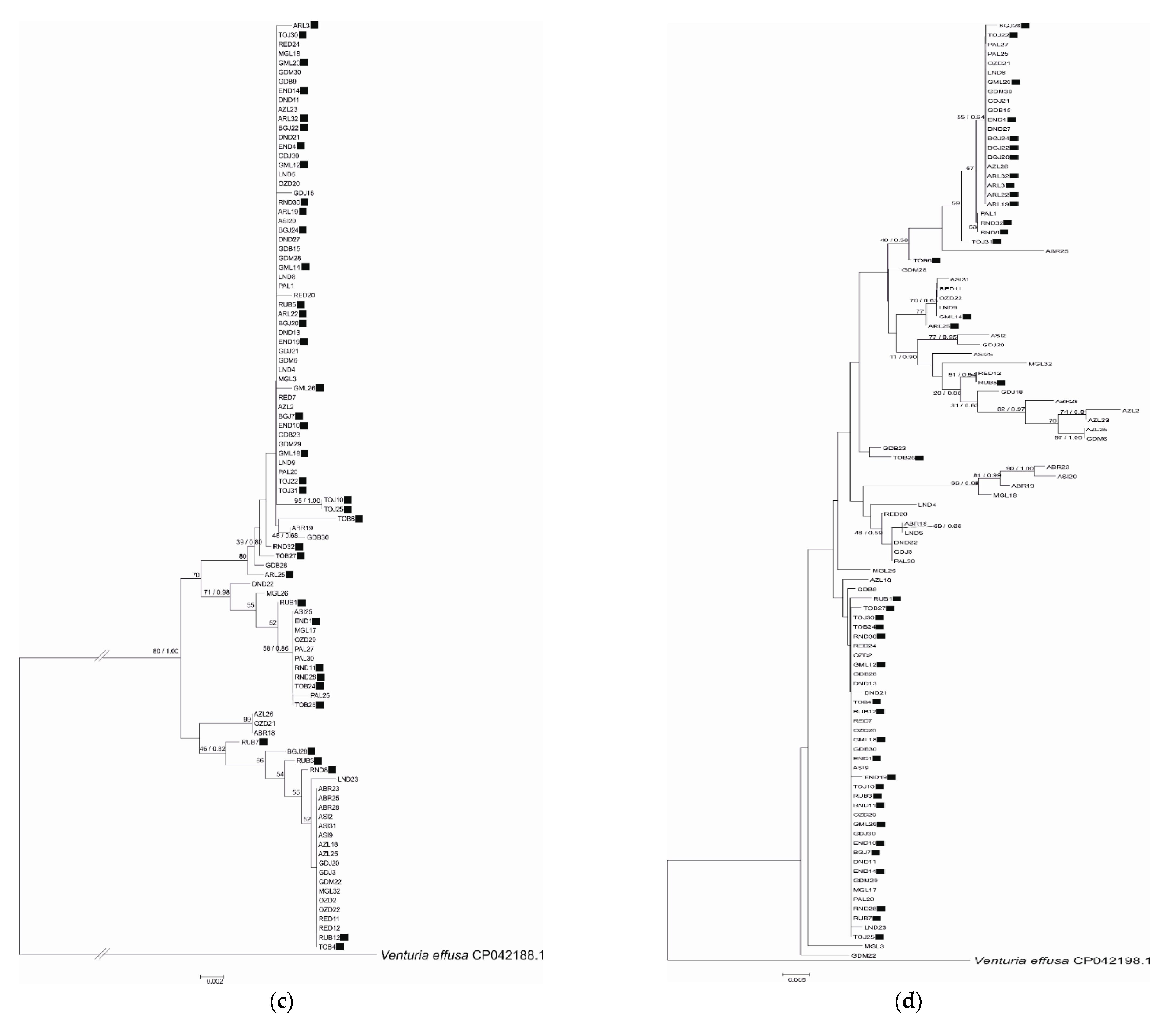 Pathogens 10 00447 g001b