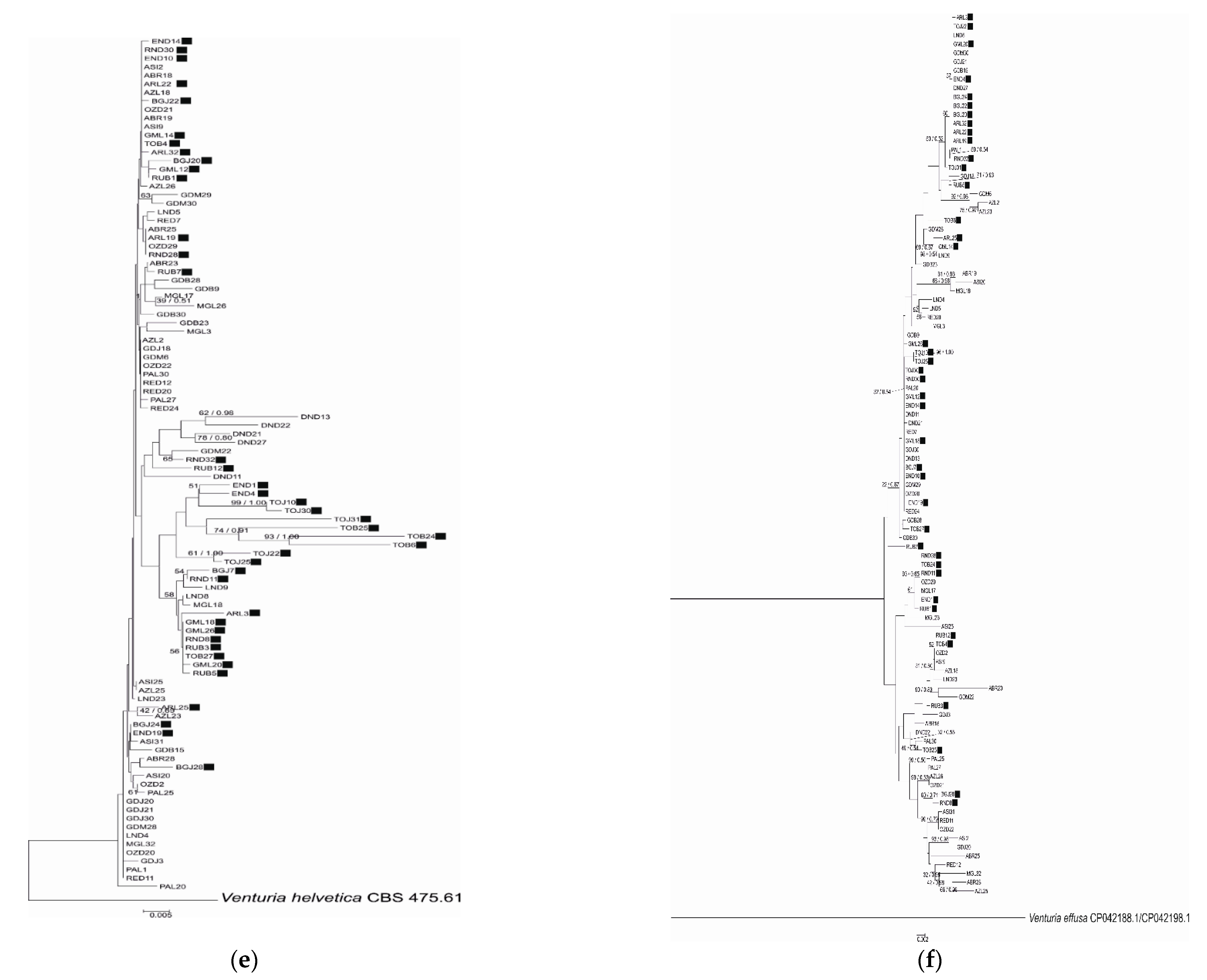Pathogens 10 00447 g001c