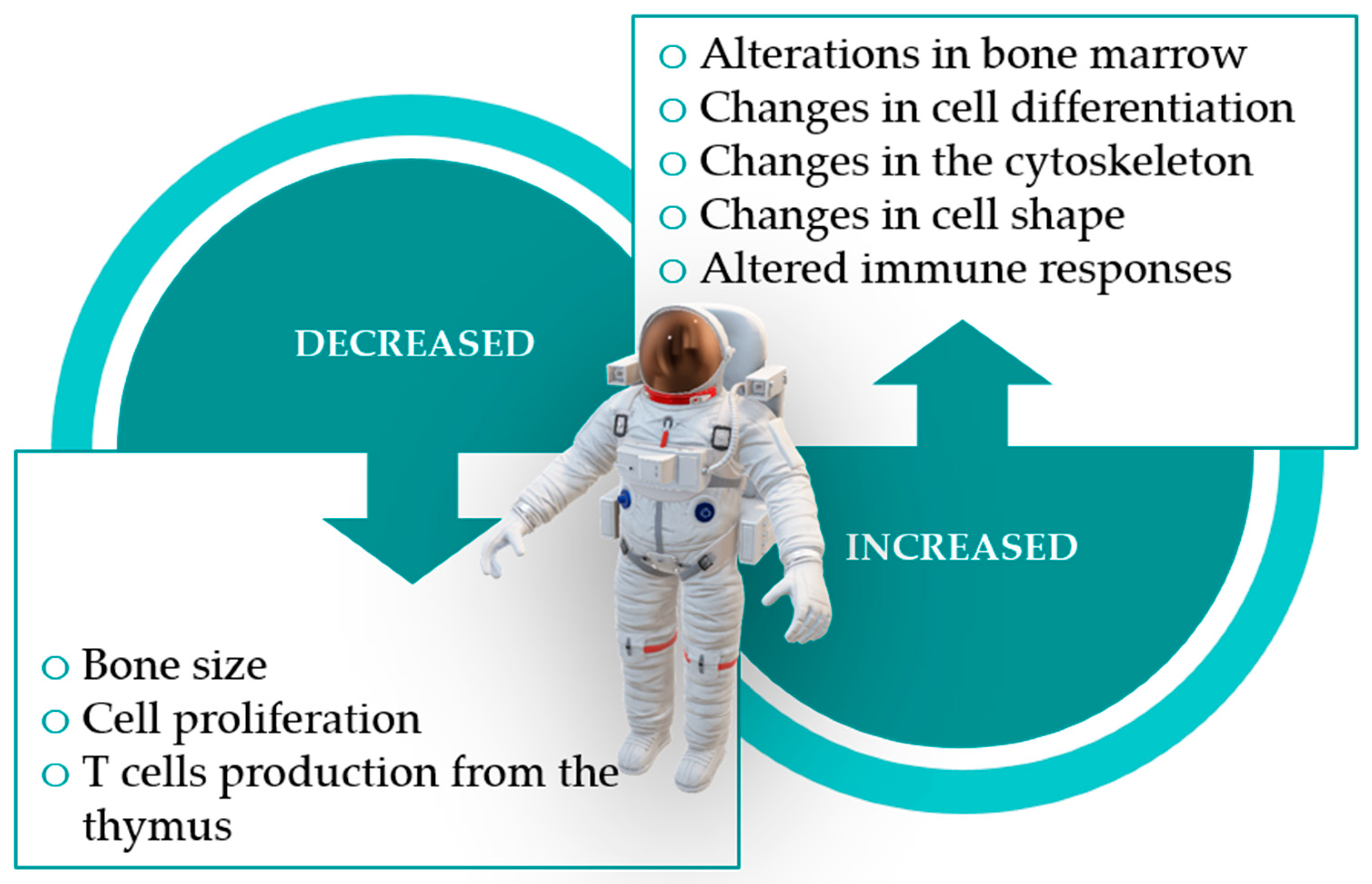 Pathogens 10 00450 g002 Pathogens 10 00450 g002