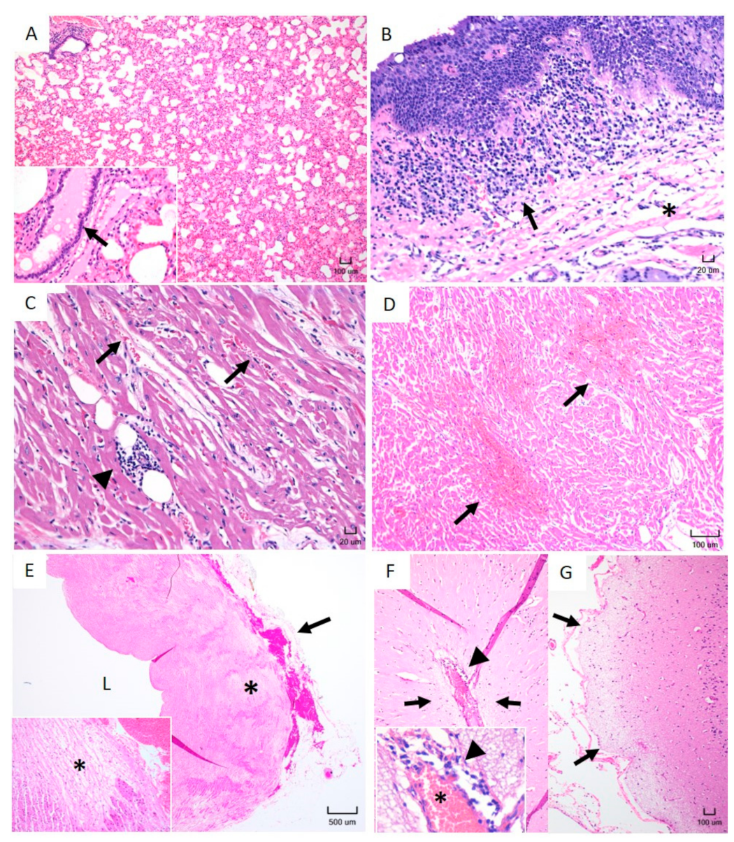 Pathogens 10 00451 g002 Pathogens 10 00451 g002