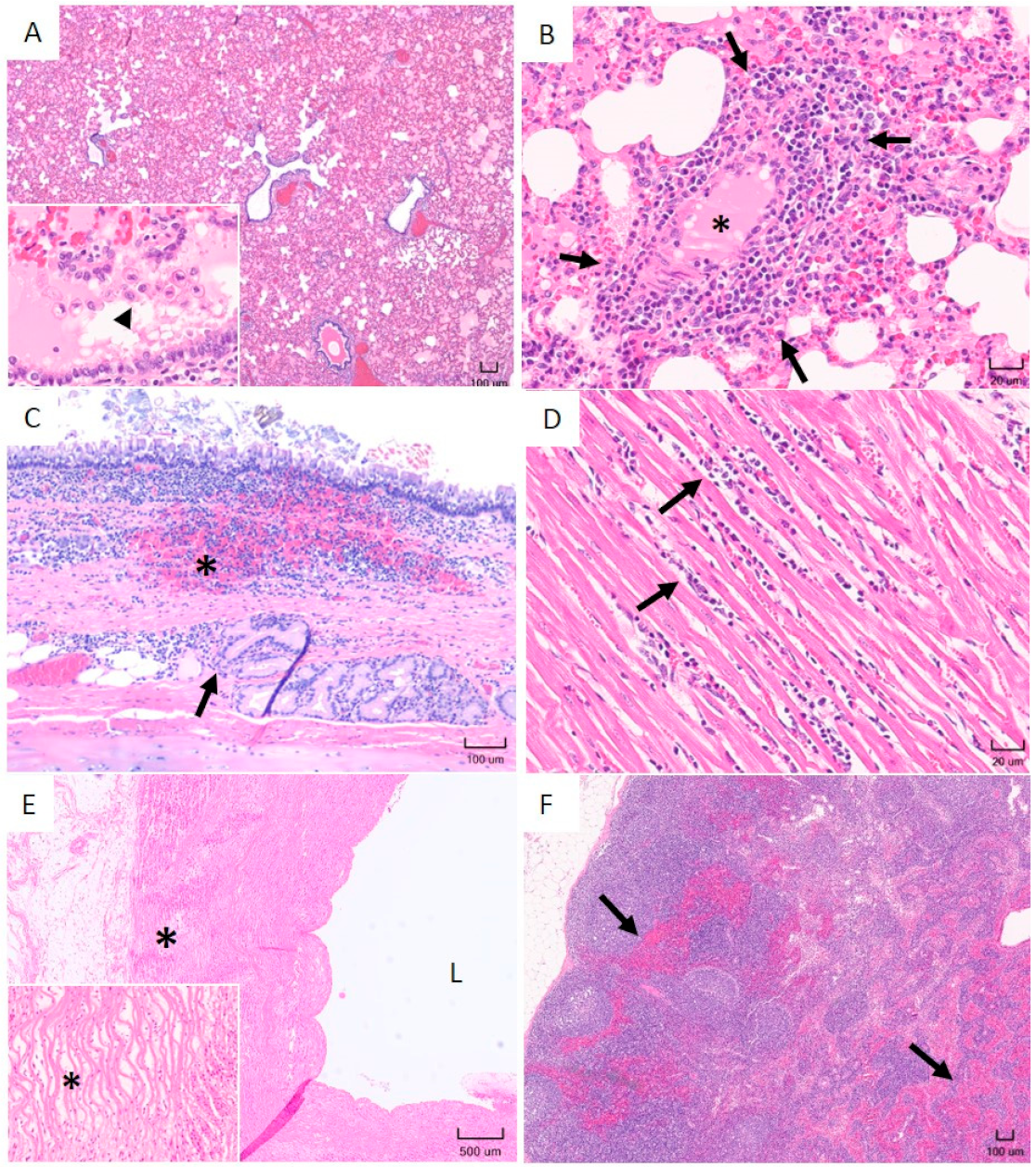 Pathogens 10 00451 g005 Pathogens 10 00451 g005