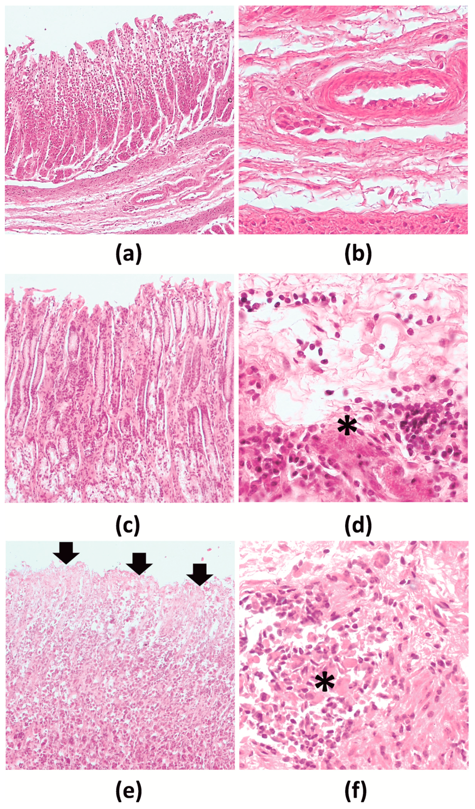 Pathogens 10 00456 g003