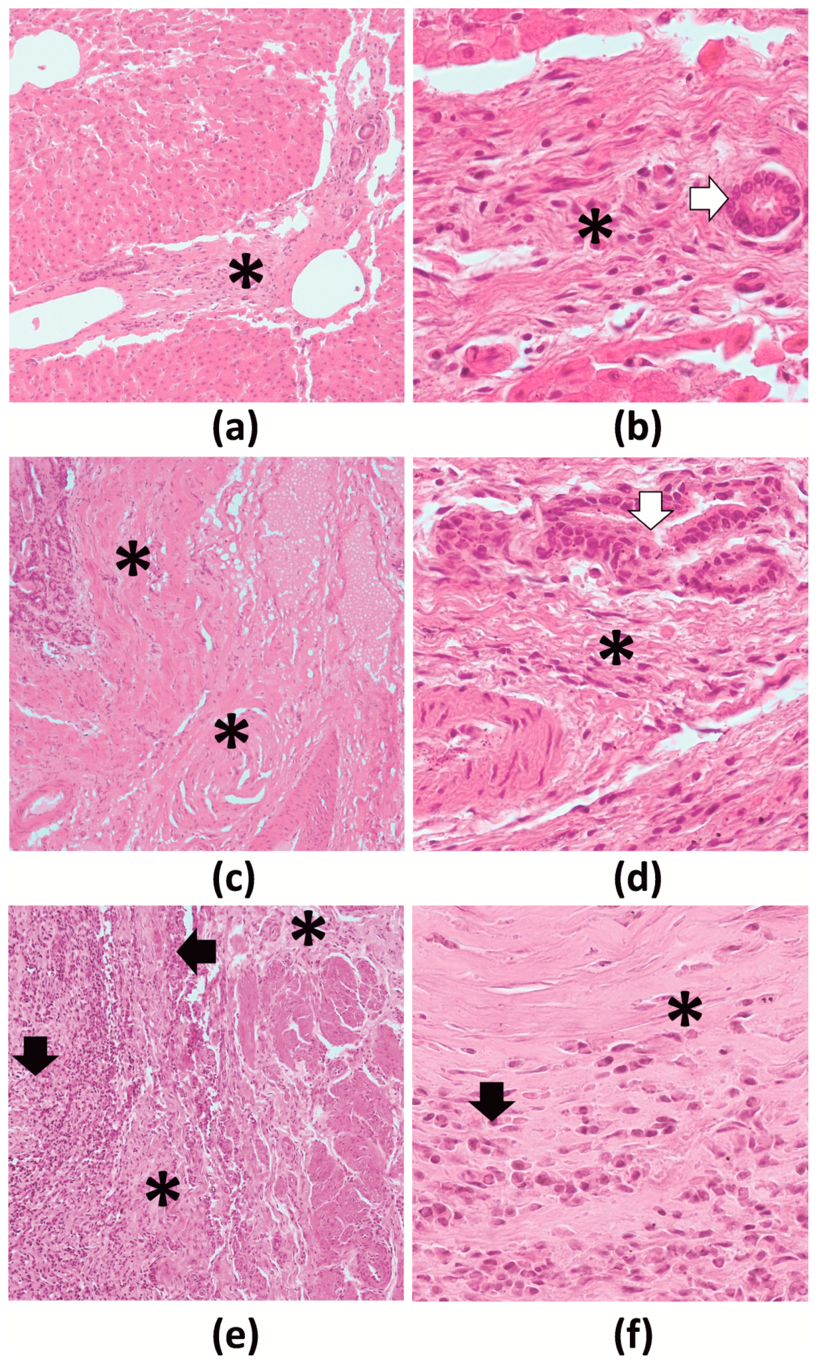 Pathogens 10 00456 g004