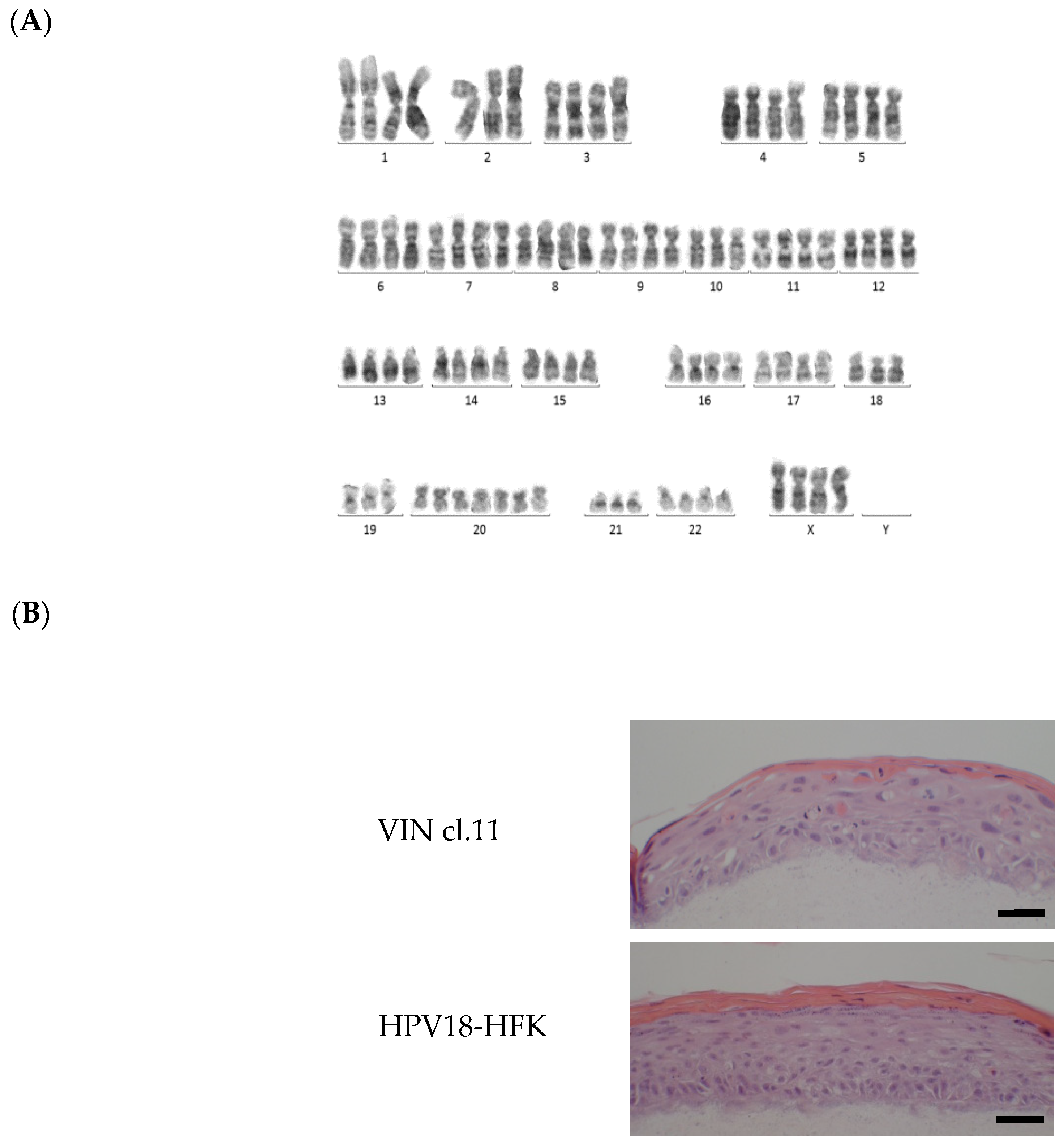 Pathogens 10 00459 g001 Pathogens 10 00459 g001