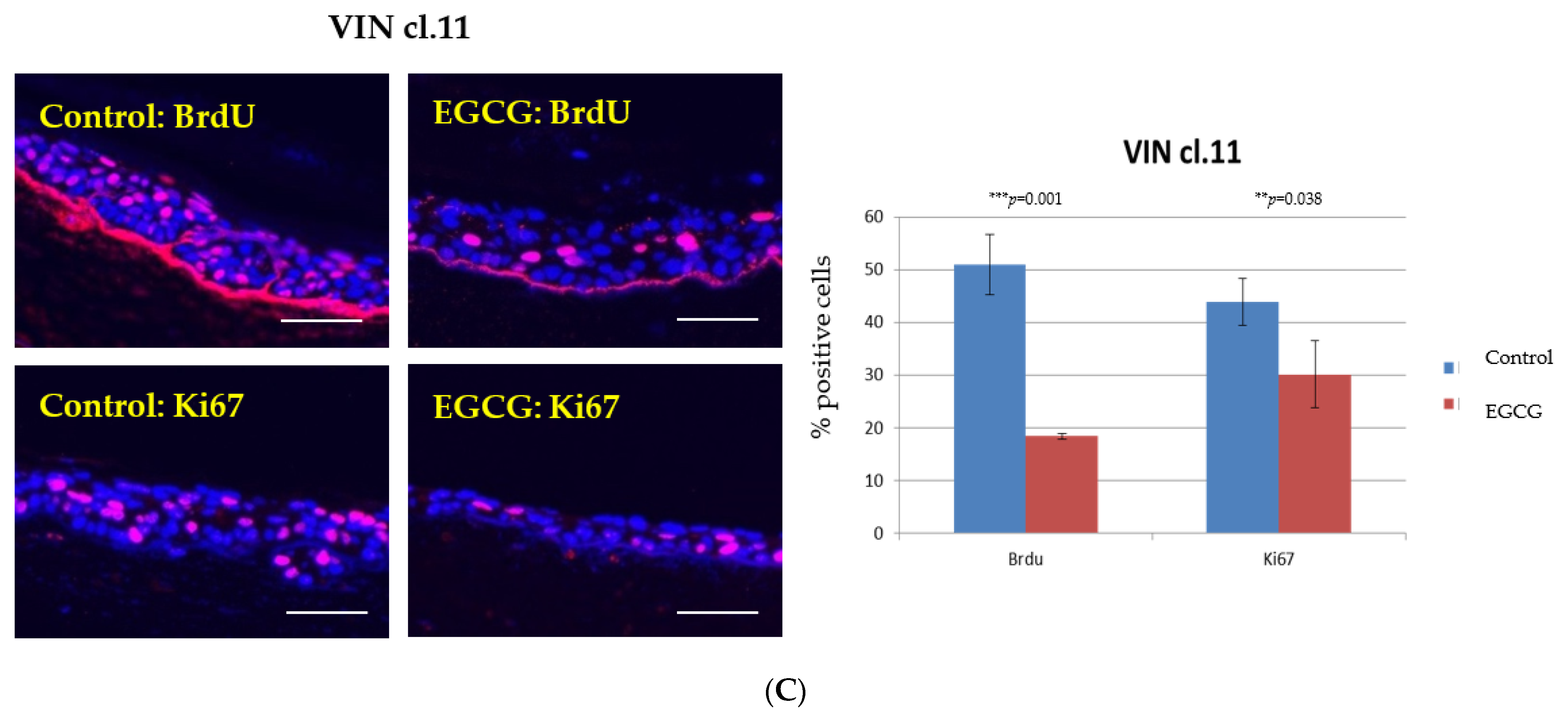Pathogens 10 00459 g003b Pathogens 10 00459 g003b