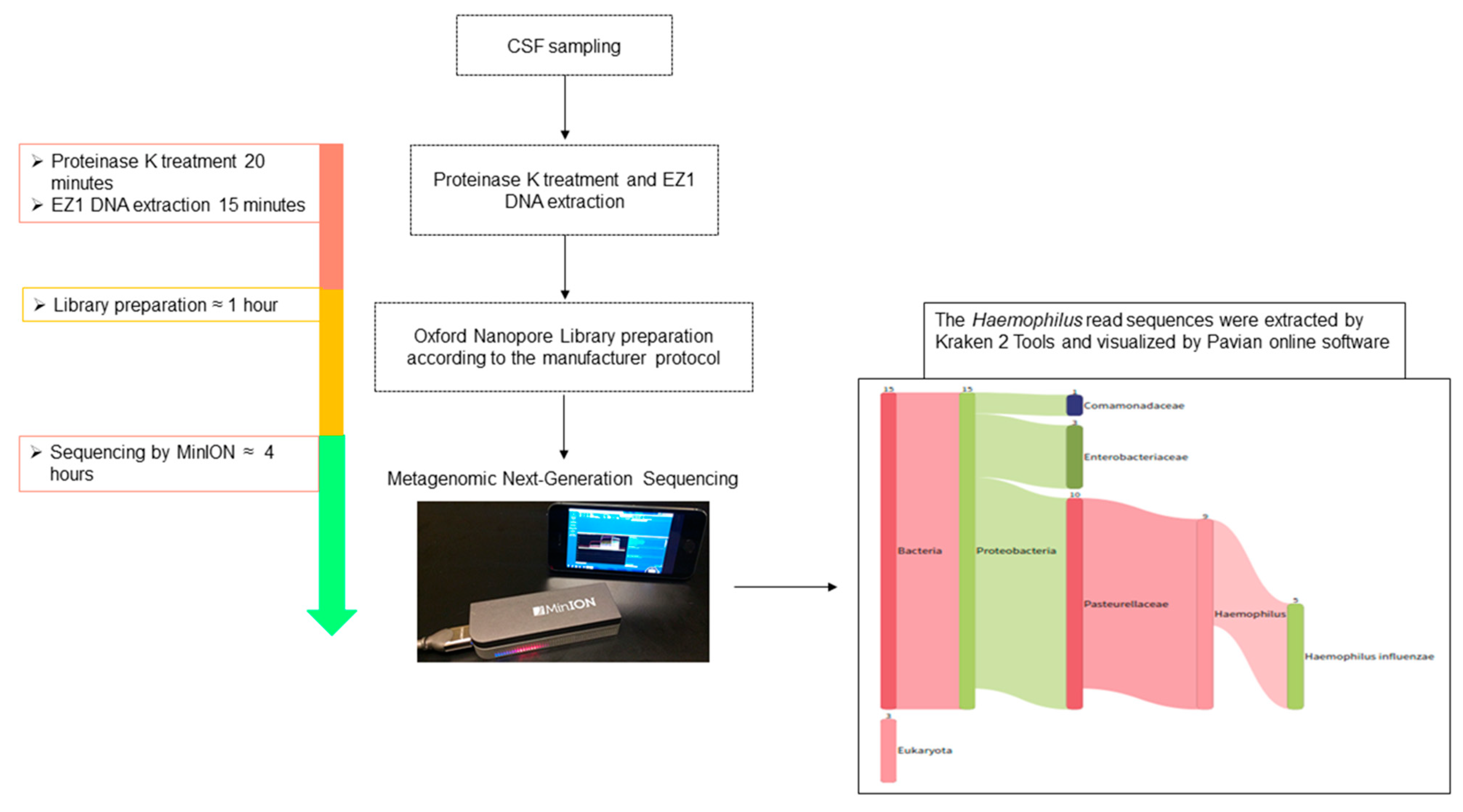 Pathogens 10 00461 g001 Pathogens 10 00461 g001