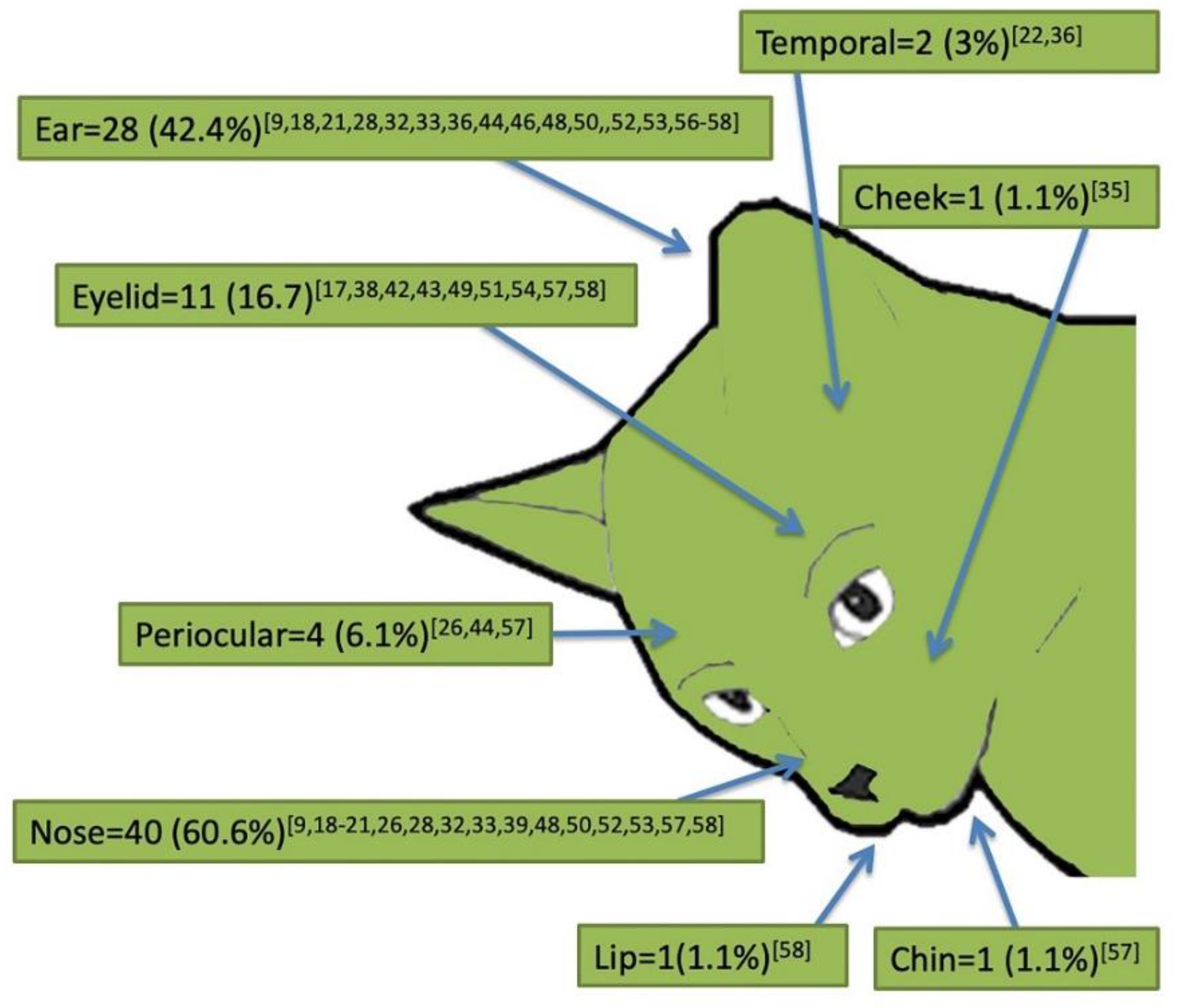 Pathogens 10 00472 g004