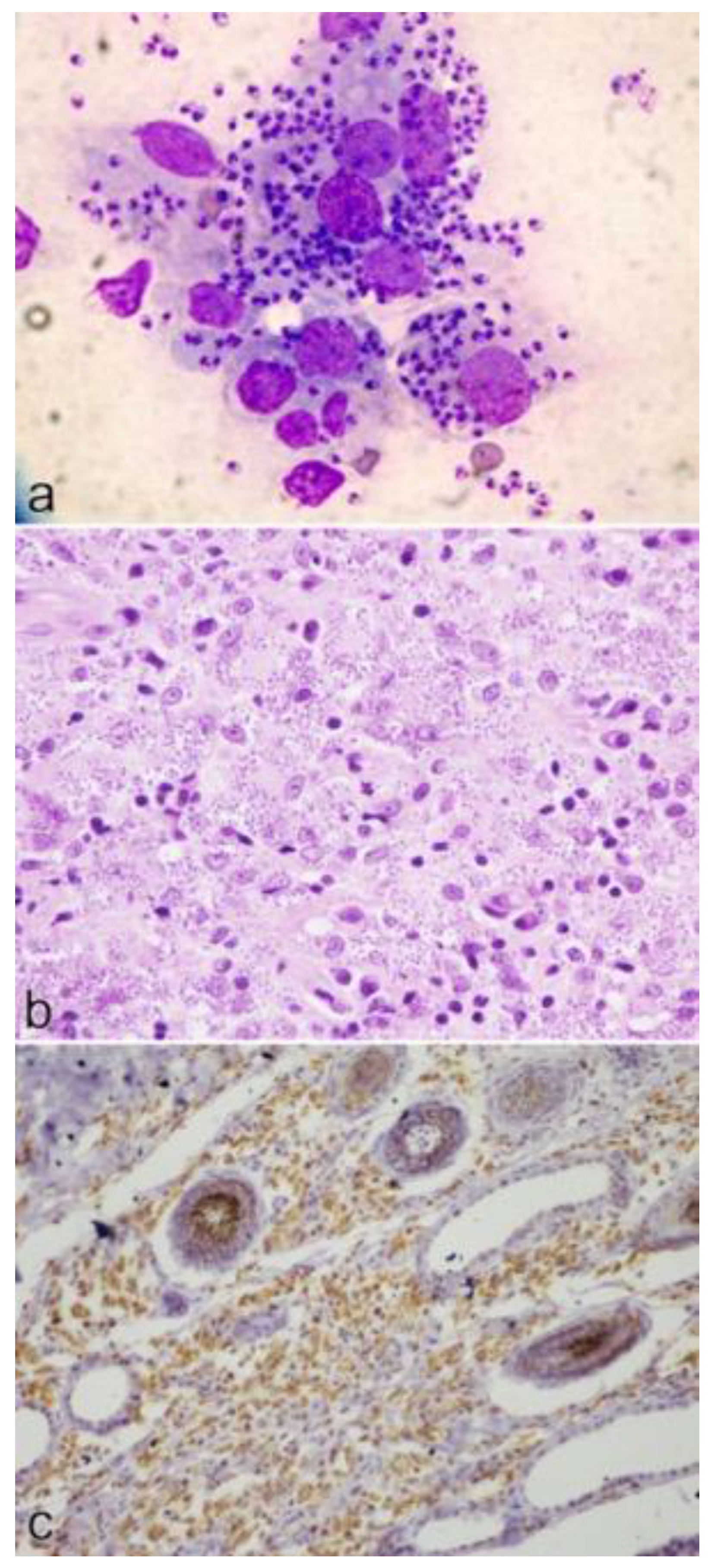 Pathogens 10 00472 g006