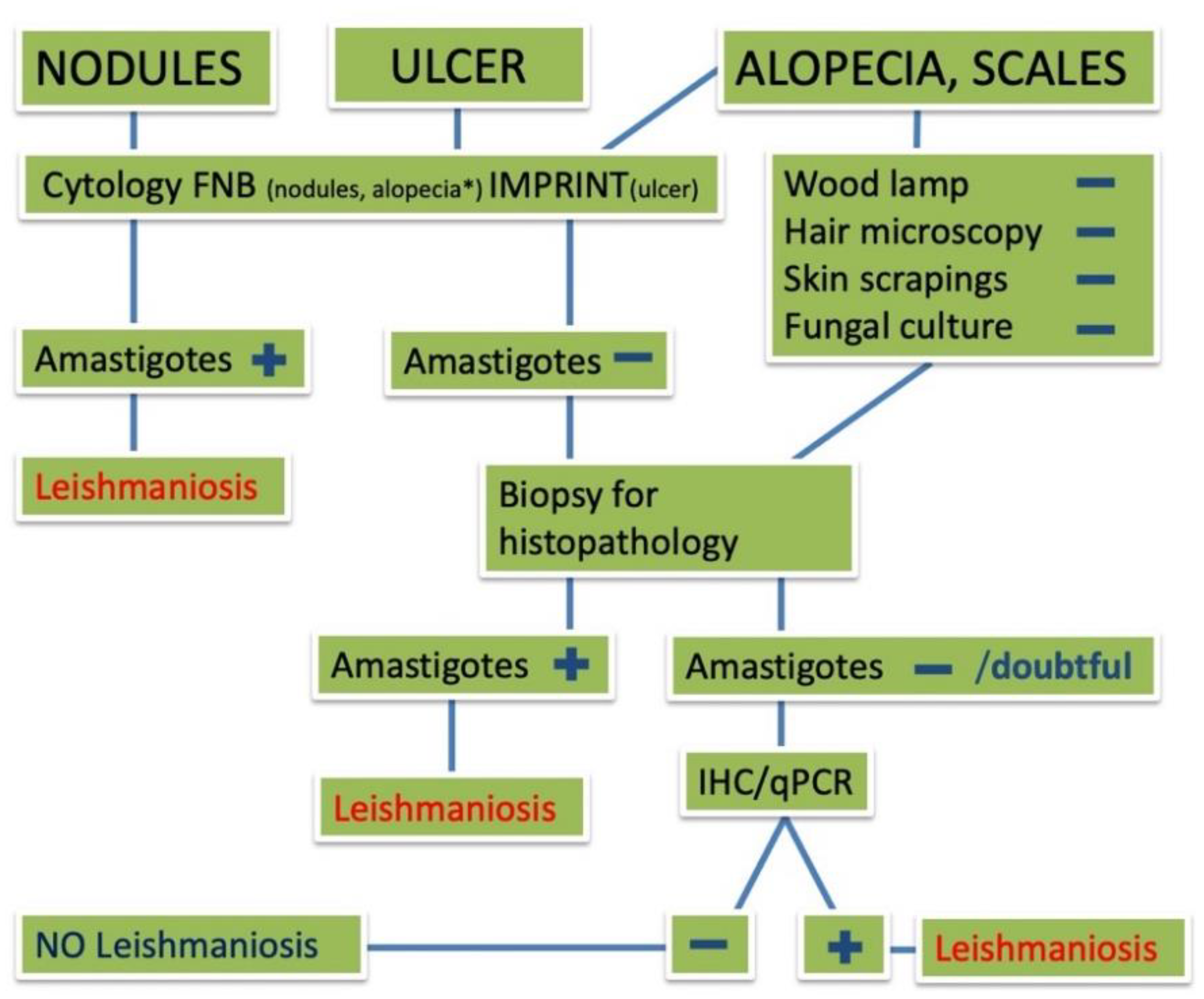 Pathogens 10 00472 g007