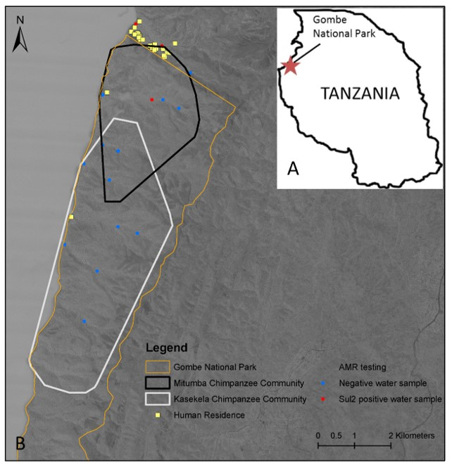 Pathogens 10 00477 g001