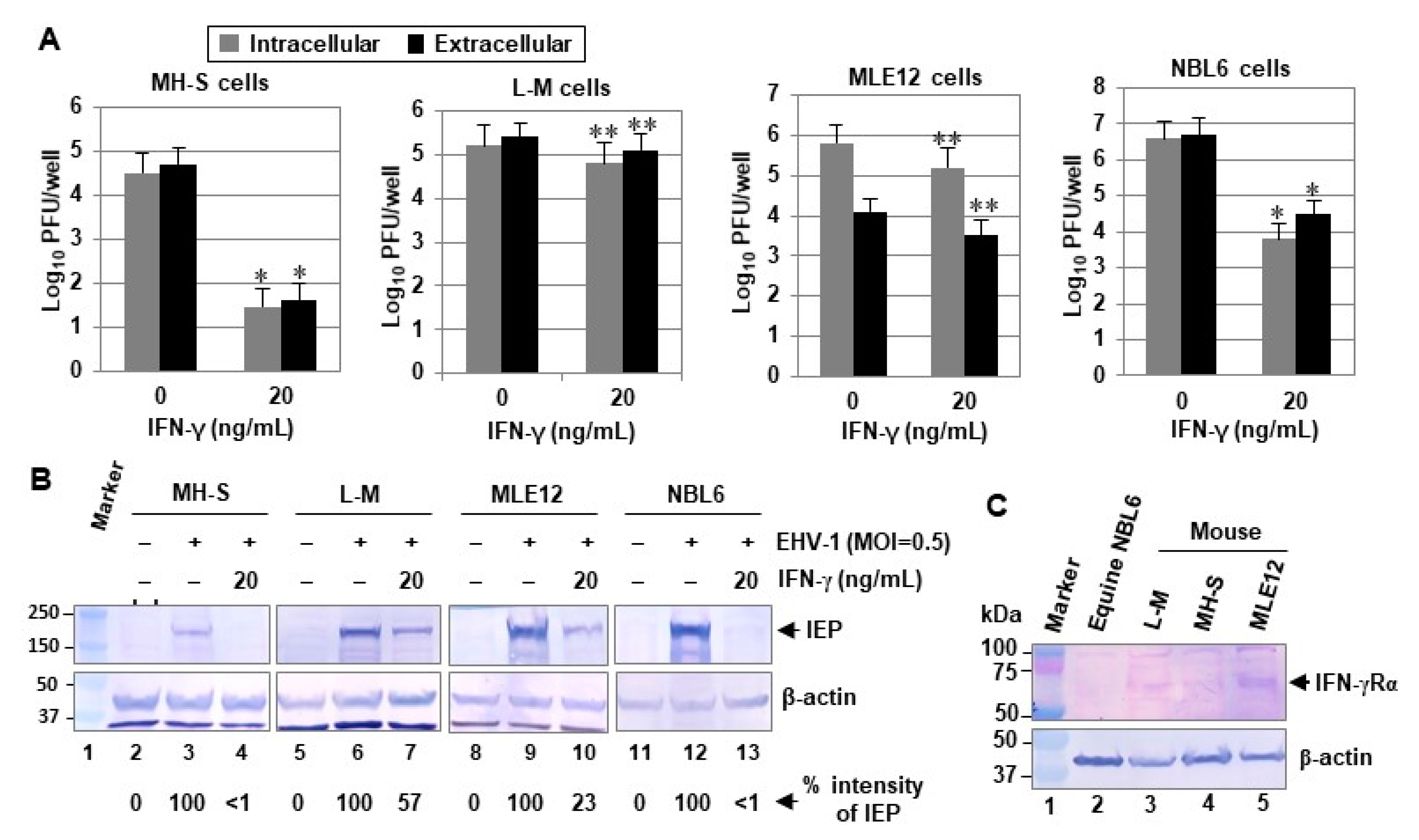 Pathogens 10 00484 g001 Pathogens 10 00484 g001