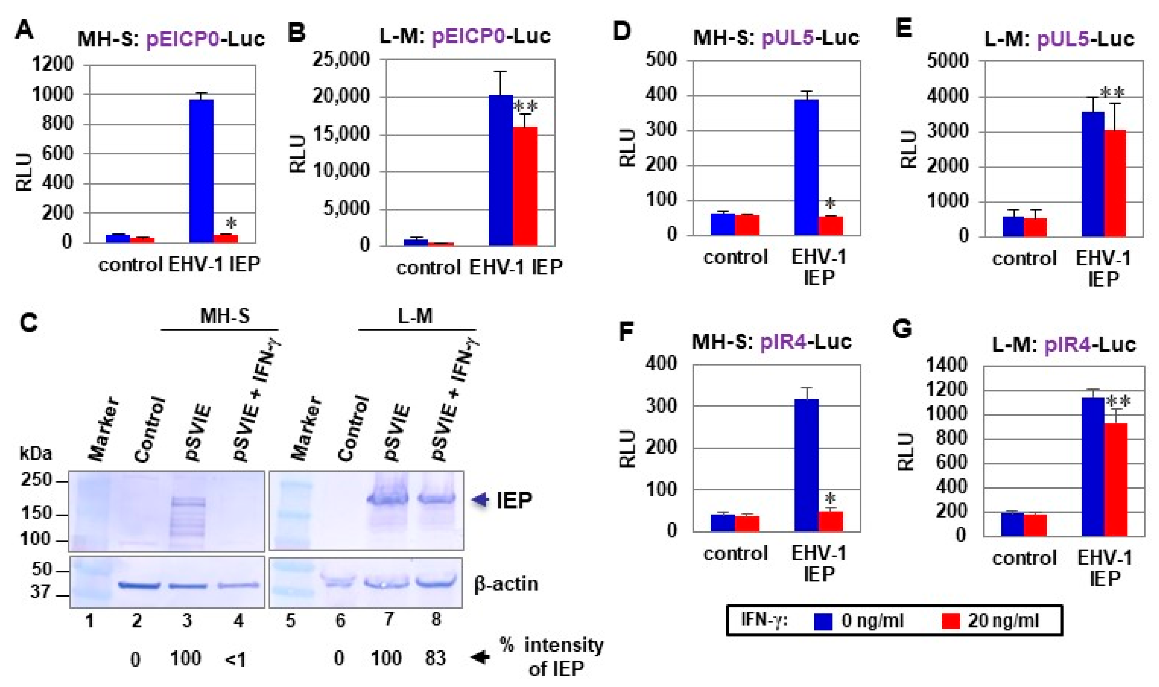 Pathogens 10 00484 g002 Pathogens 10 00484 g002