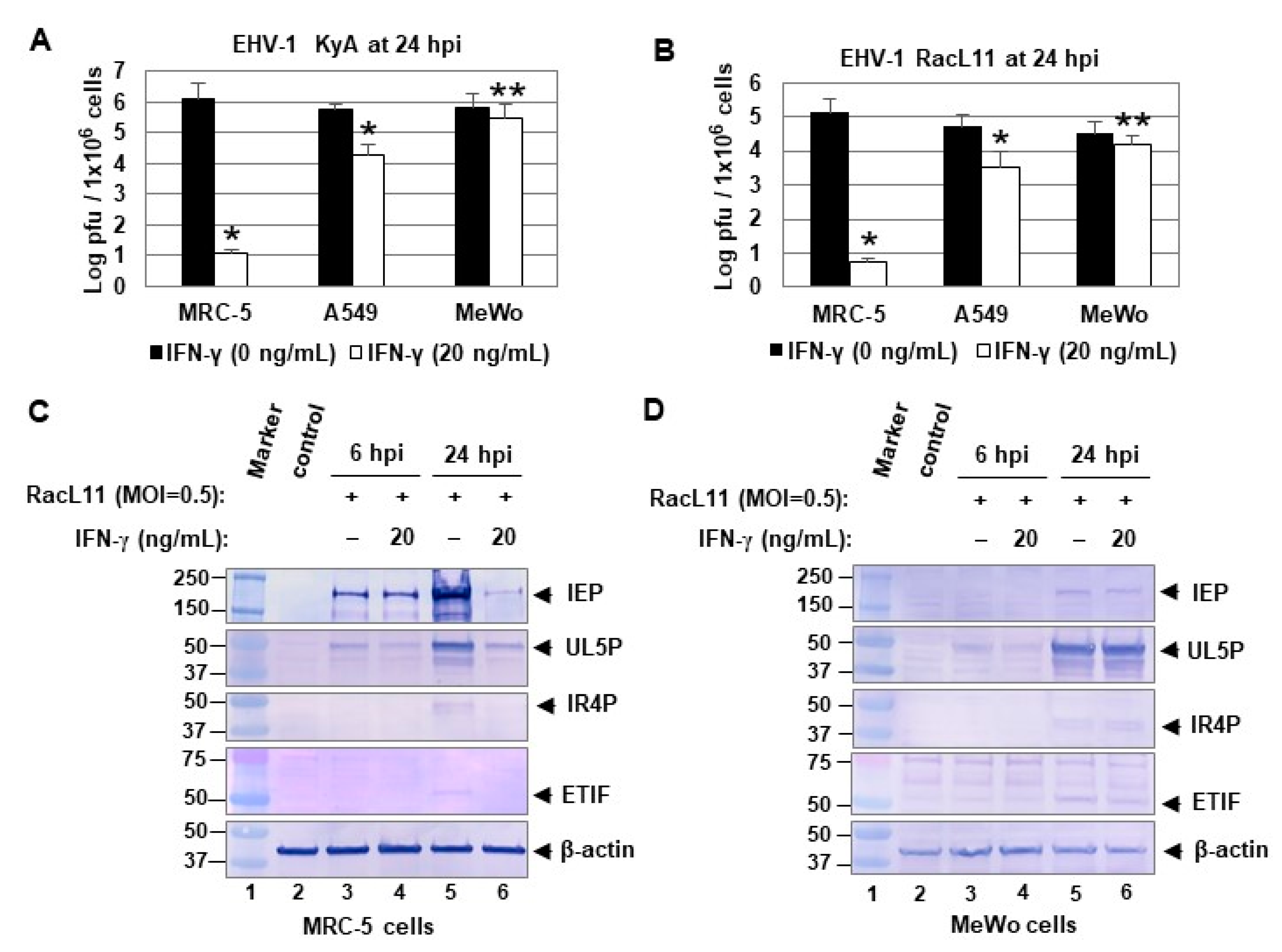 Pathogens 10 00484 g004 Pathogens 10 00484 g004