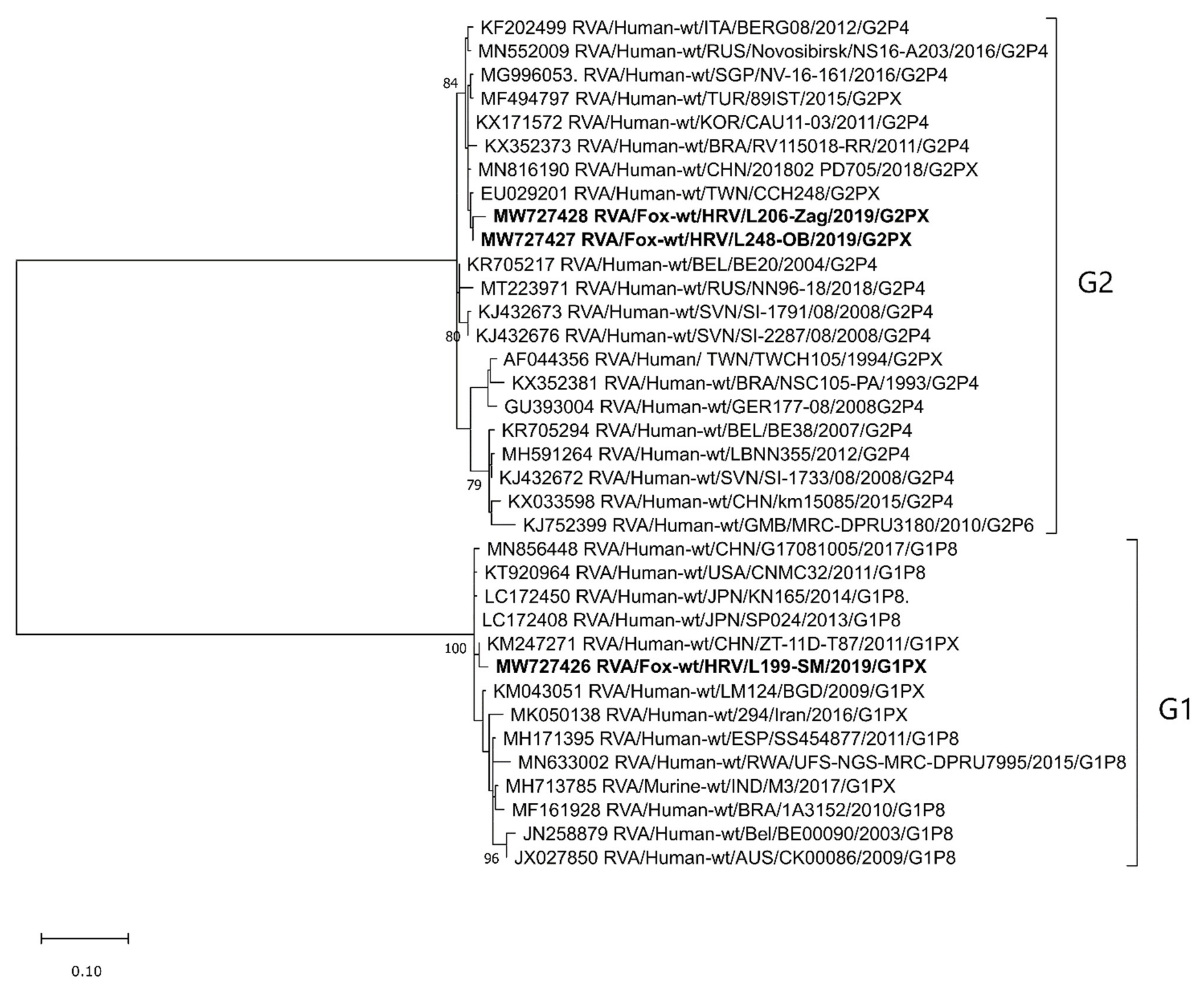 Pathogens 10 00485 g001