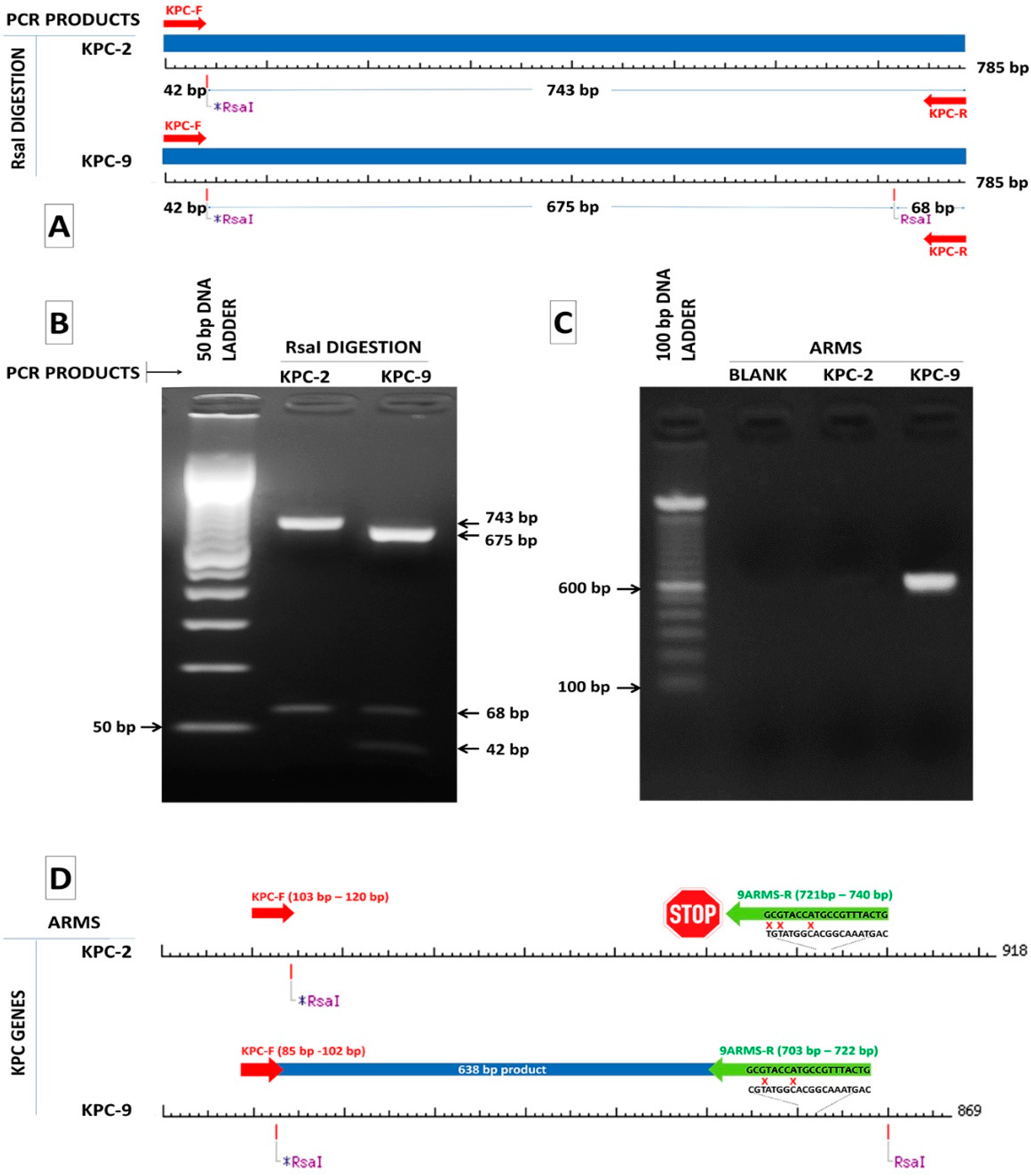 Pathogens 10 00487 g001