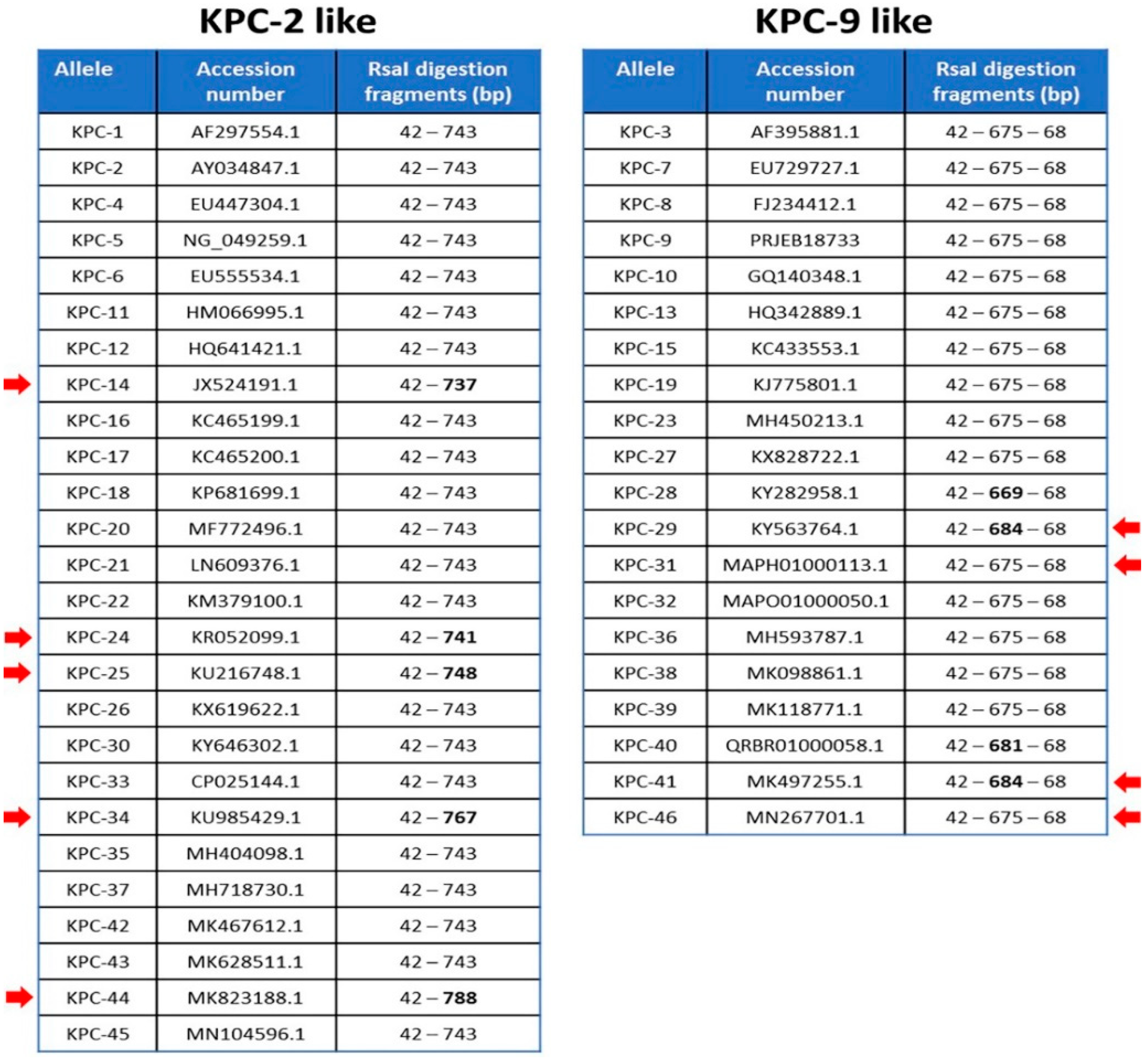 Pathogens 10 00487 g002