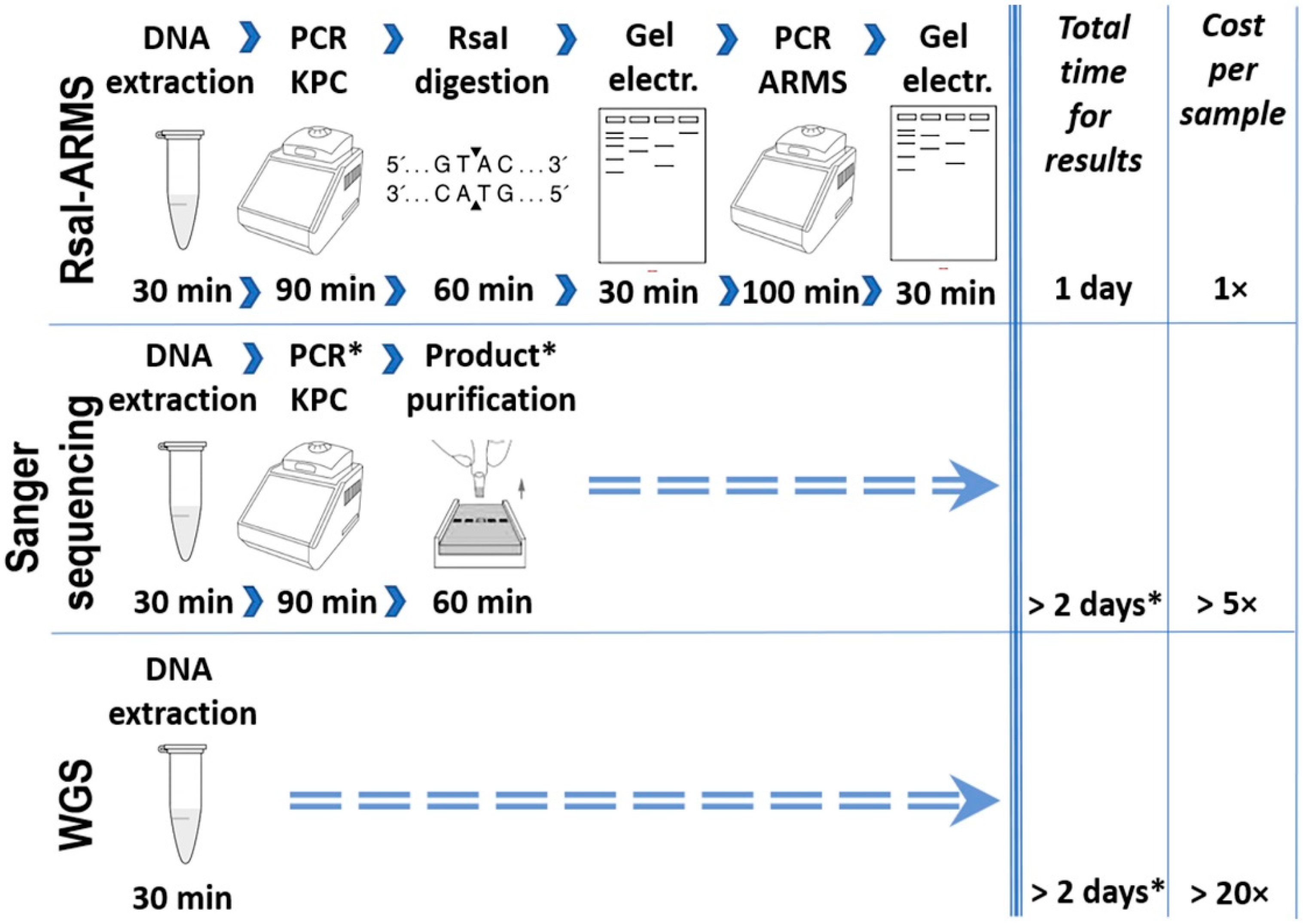 Pathogens 10 00487 g004