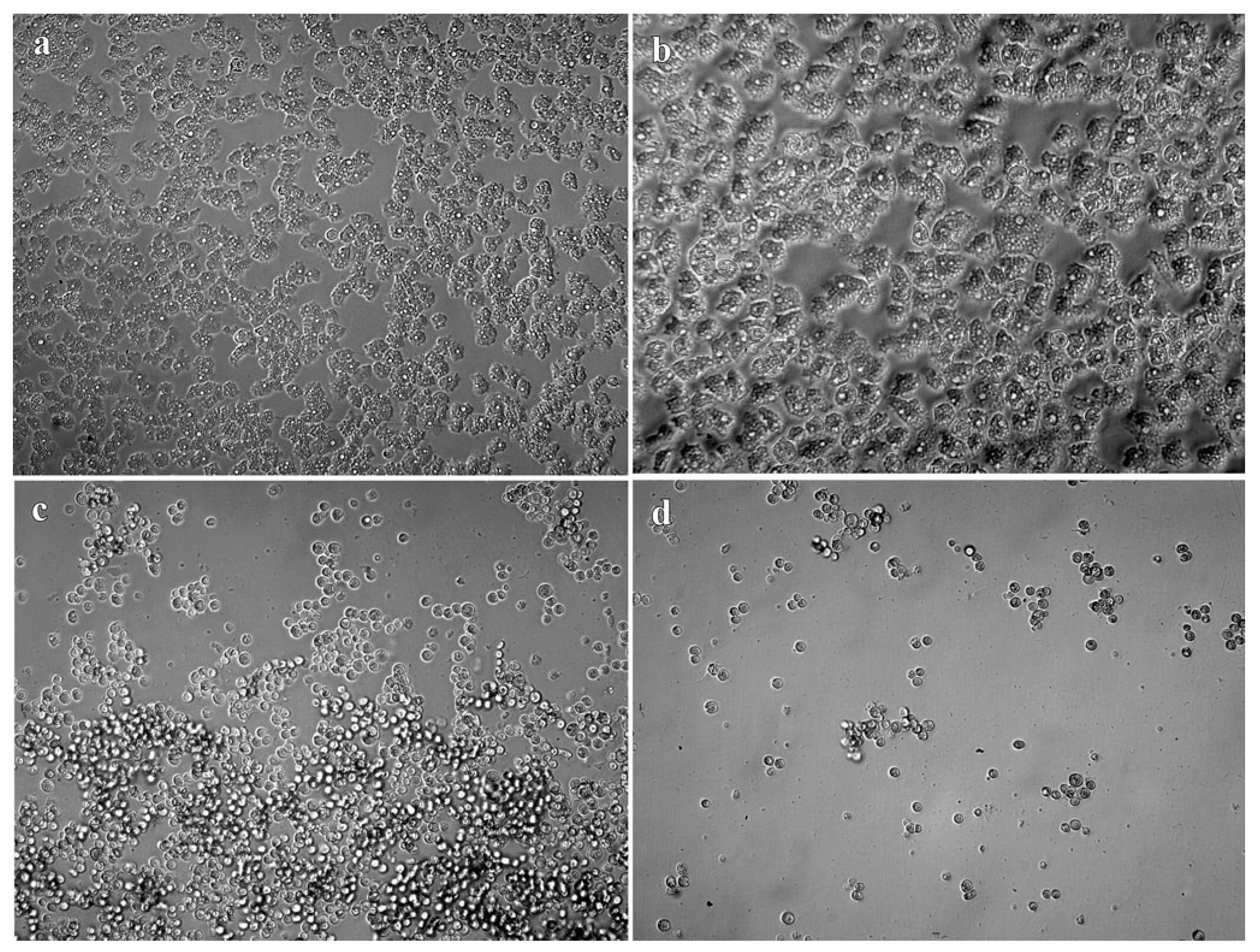 Pathogens 10 00491 g002