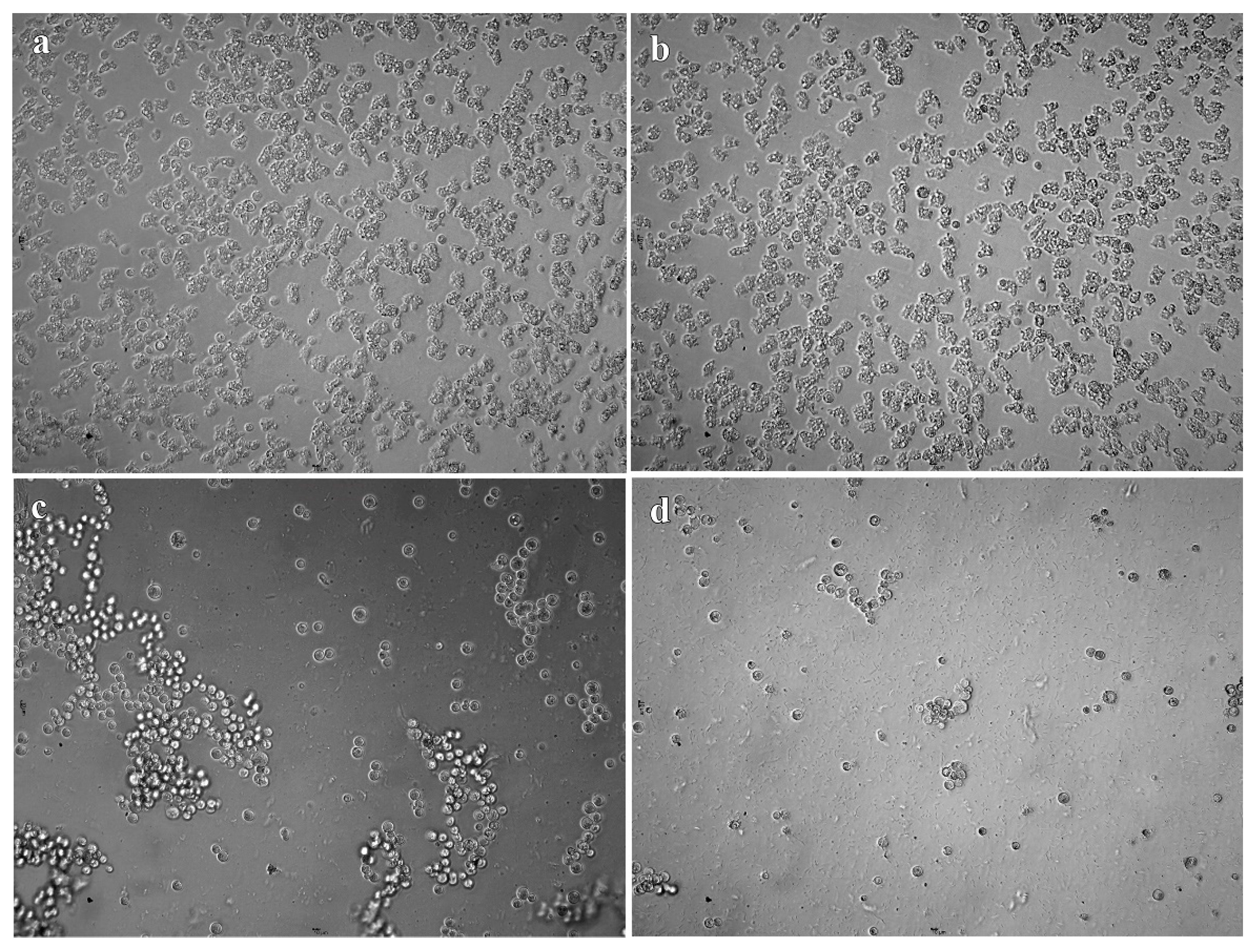 Pathogens 10 00491 g003