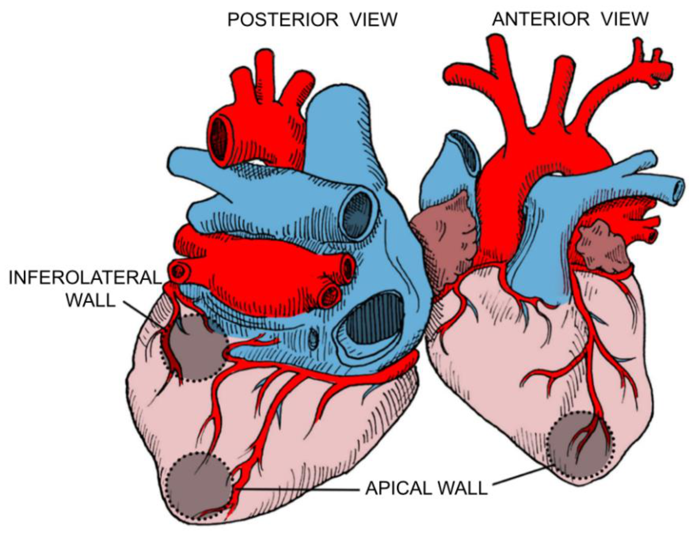 Pathogens 10 00505 g003