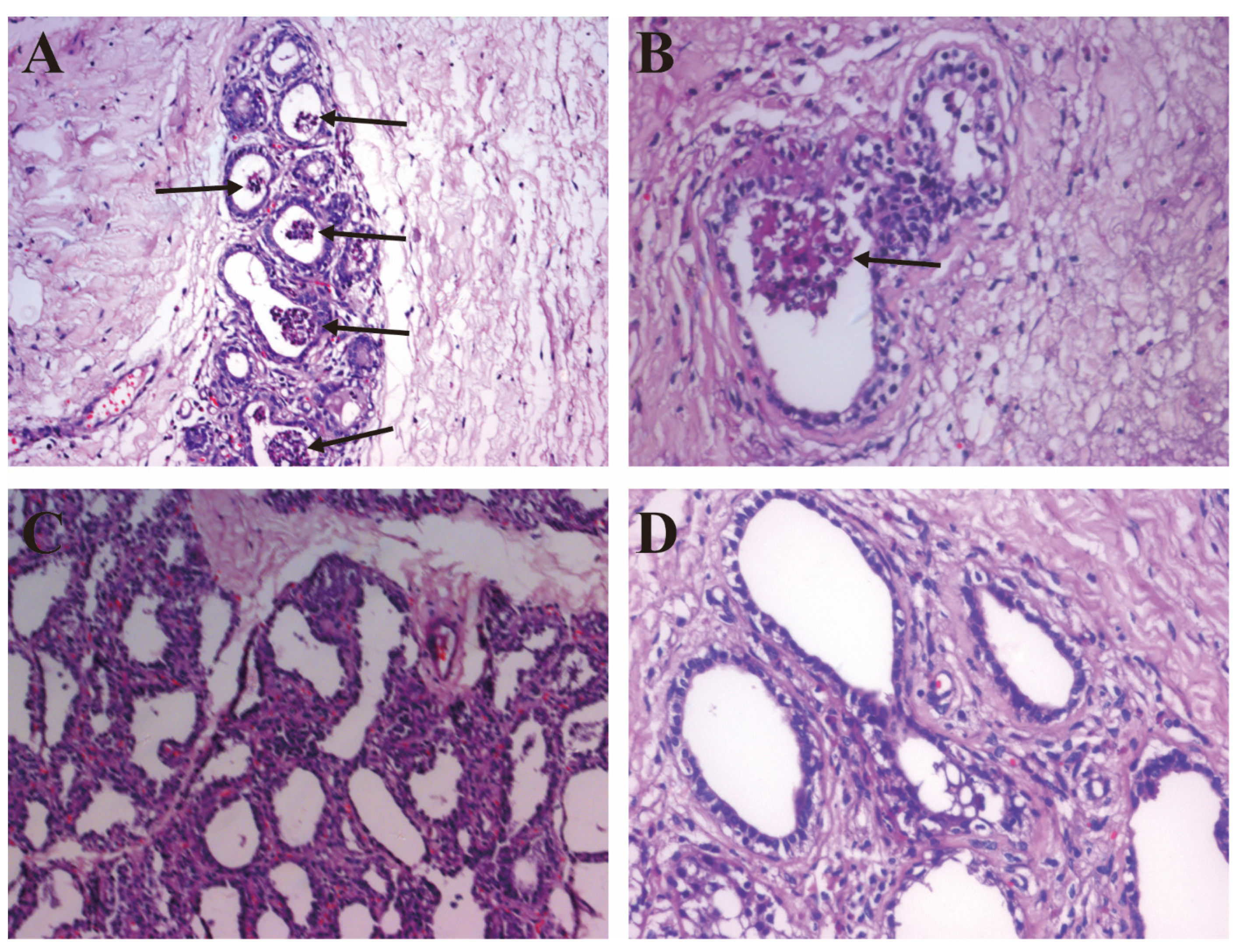 Pathogens 10 00506 g001 Pathogens 10 00506 g001