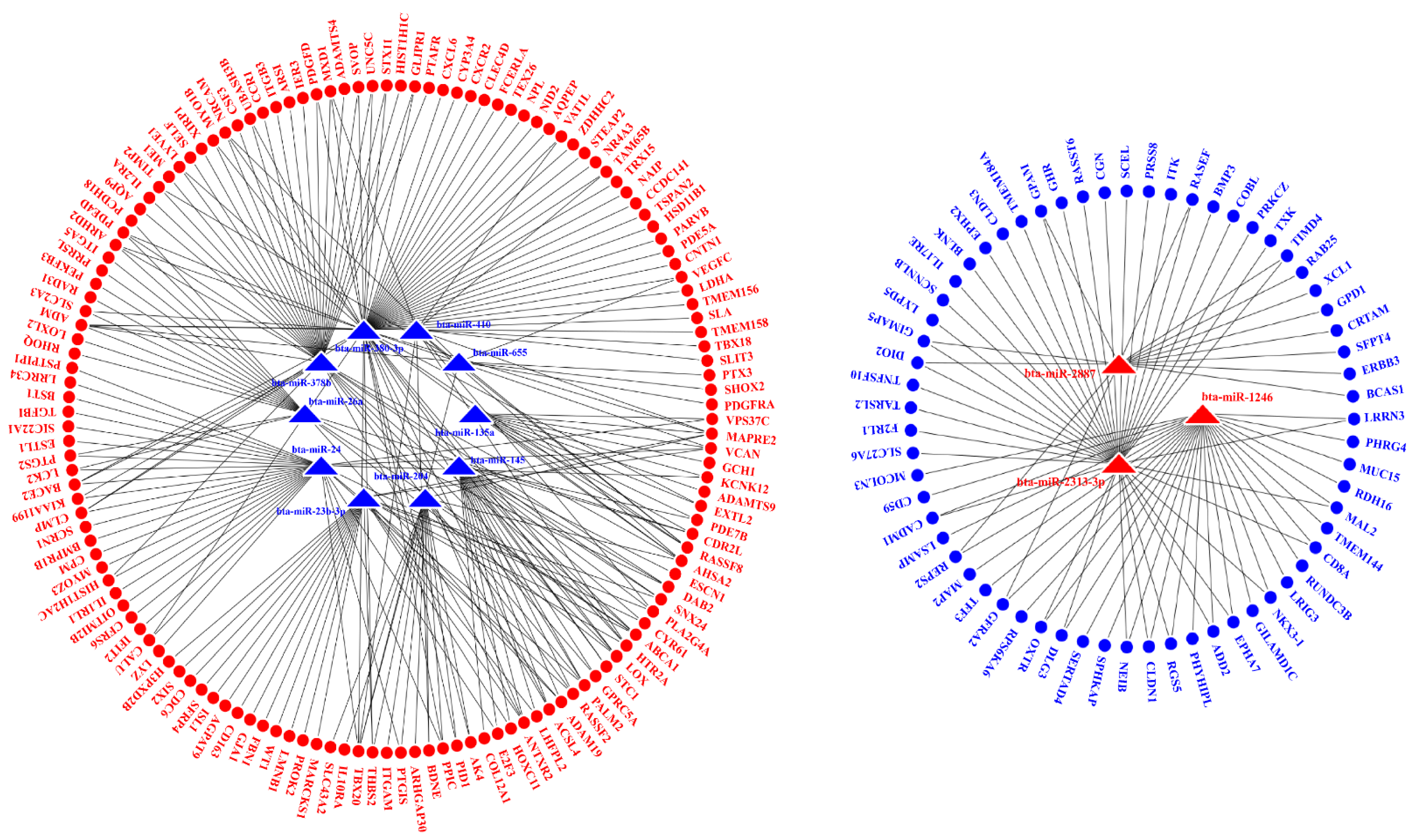 Pathogens 10 00506 g004 Pathogens 10 00506 g004