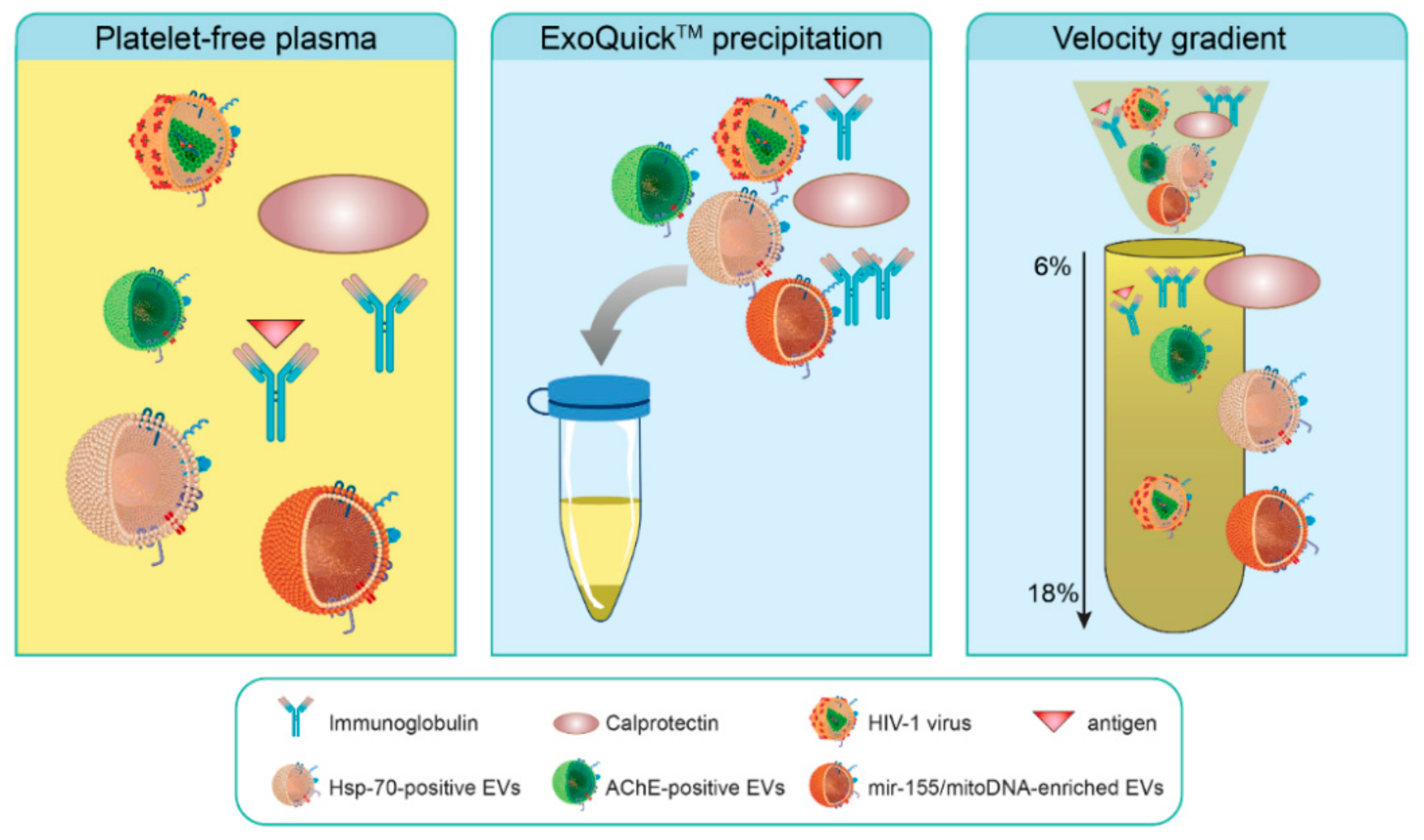 Pathogens 10 00526 g010